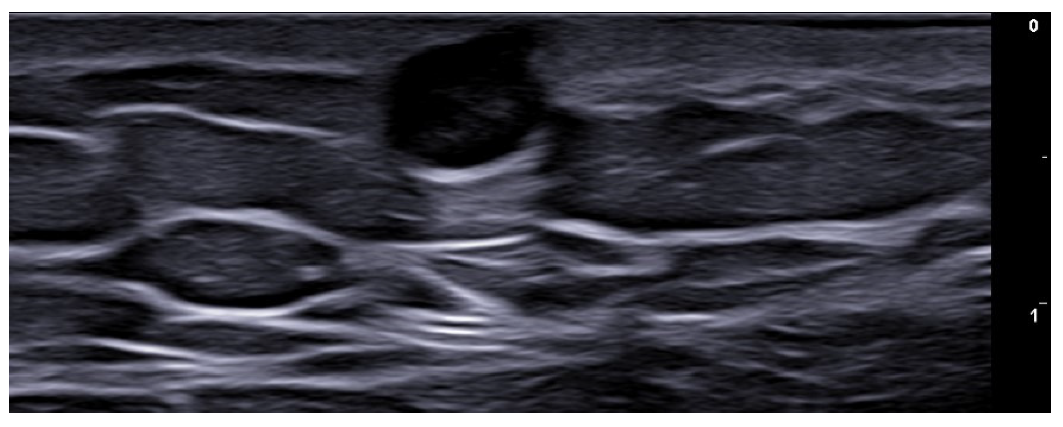 Medicina 61 00220 g041