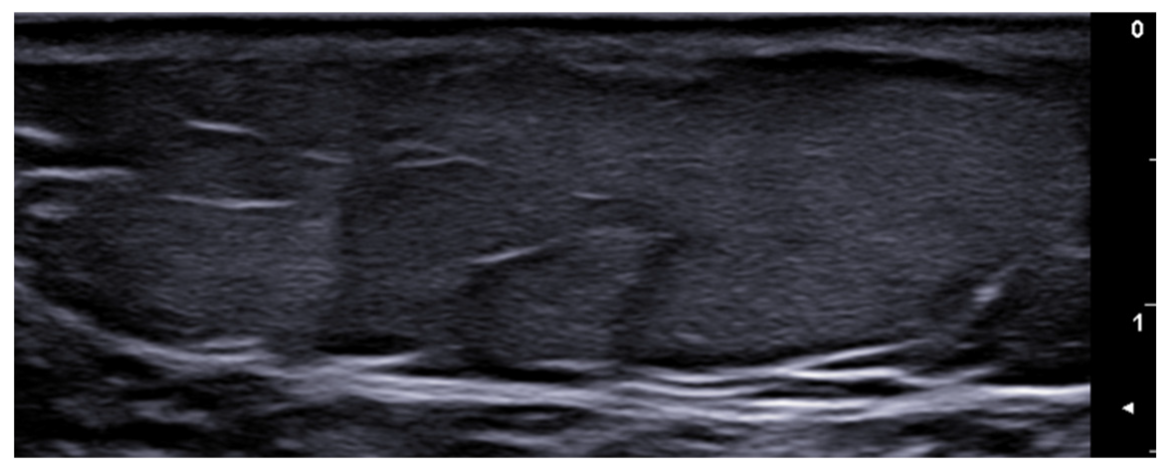 Medicina 61 00220 g042