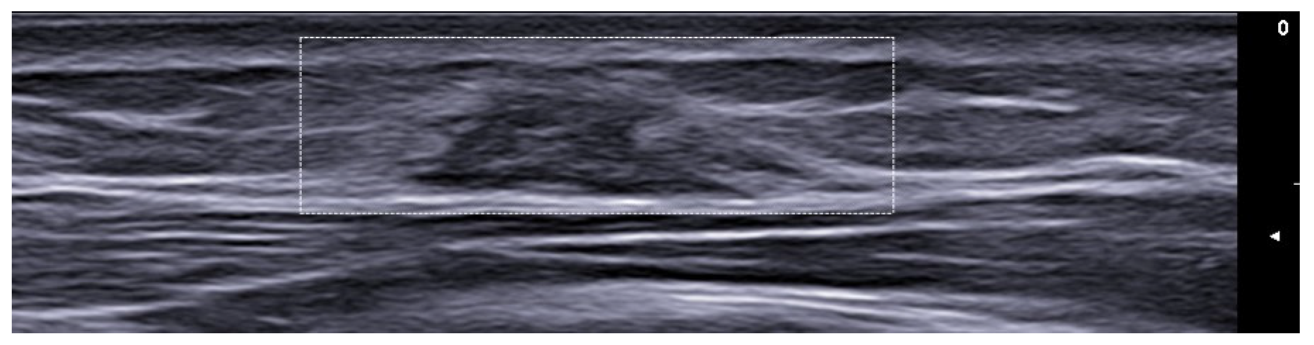 Medicina 61 00220 g045