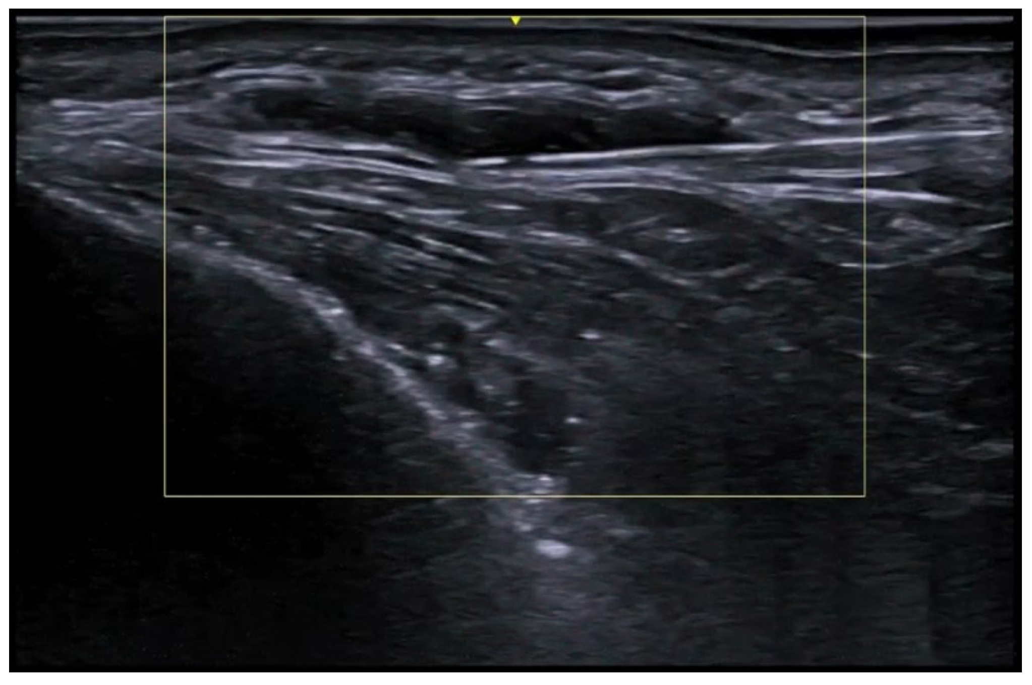 Medicina 61 00220 g047