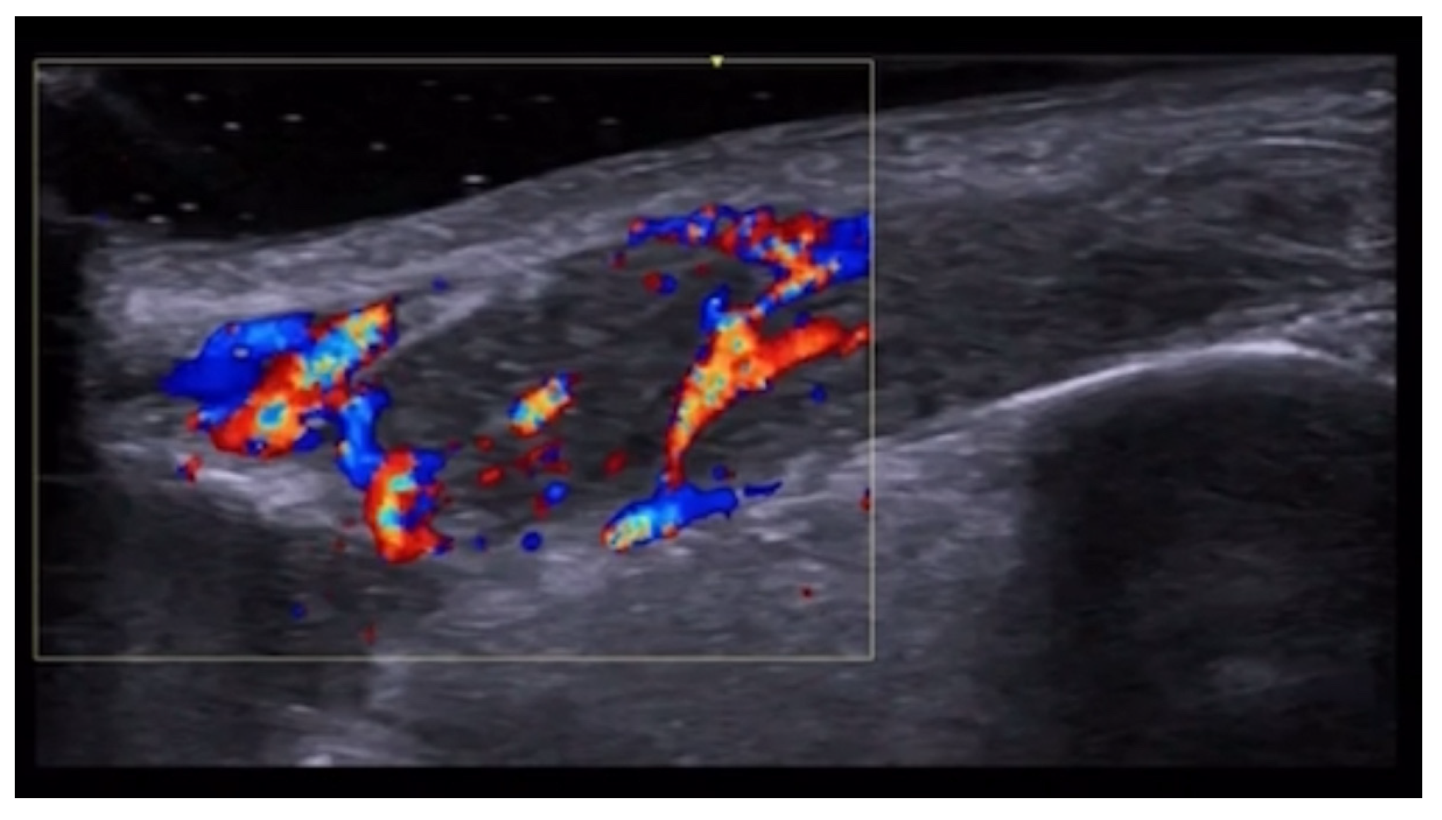 Medicina 61 00220 g051