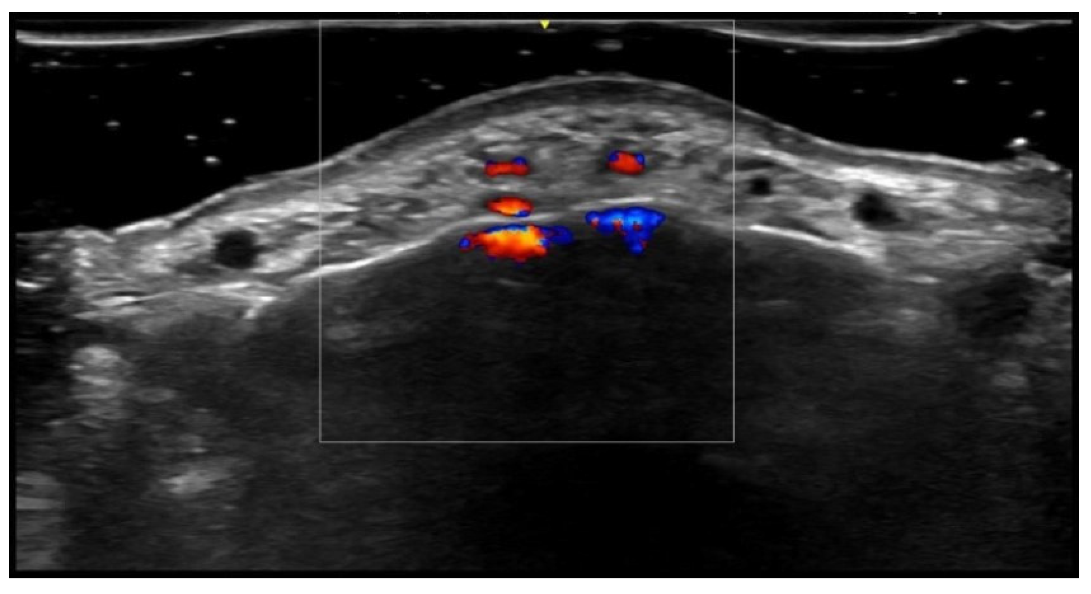 Medicina 61 00220 g052