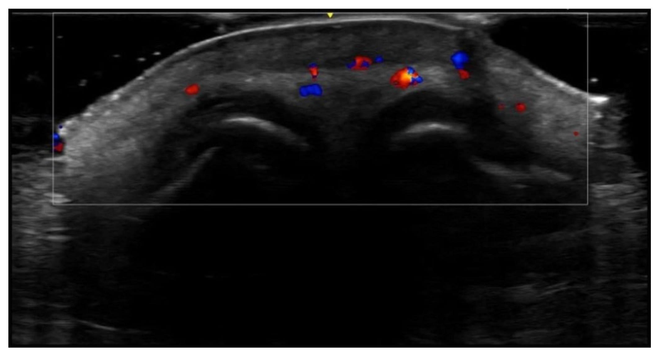 Medicina 61 00220 g054