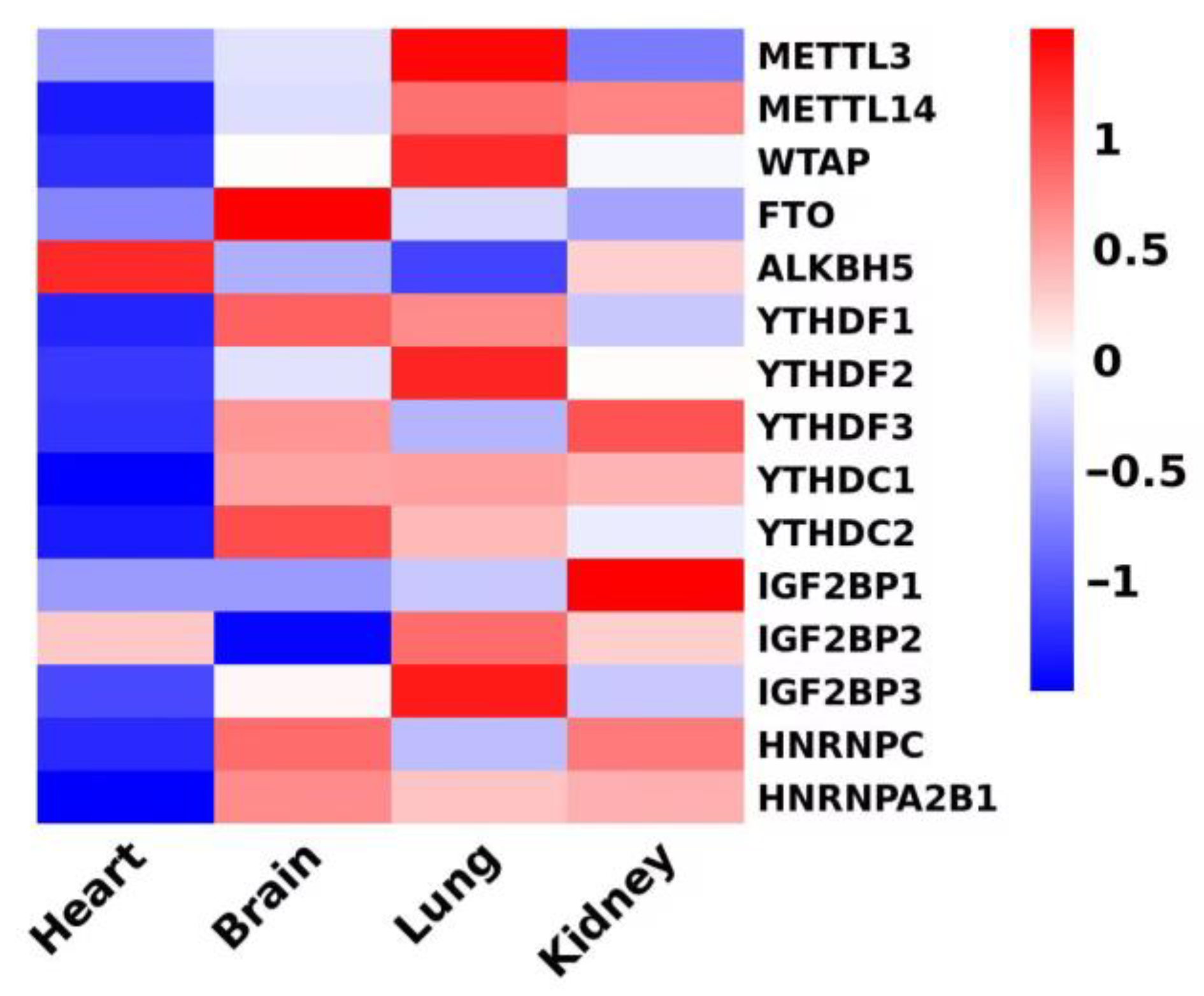 Medicina 61 00222 g003