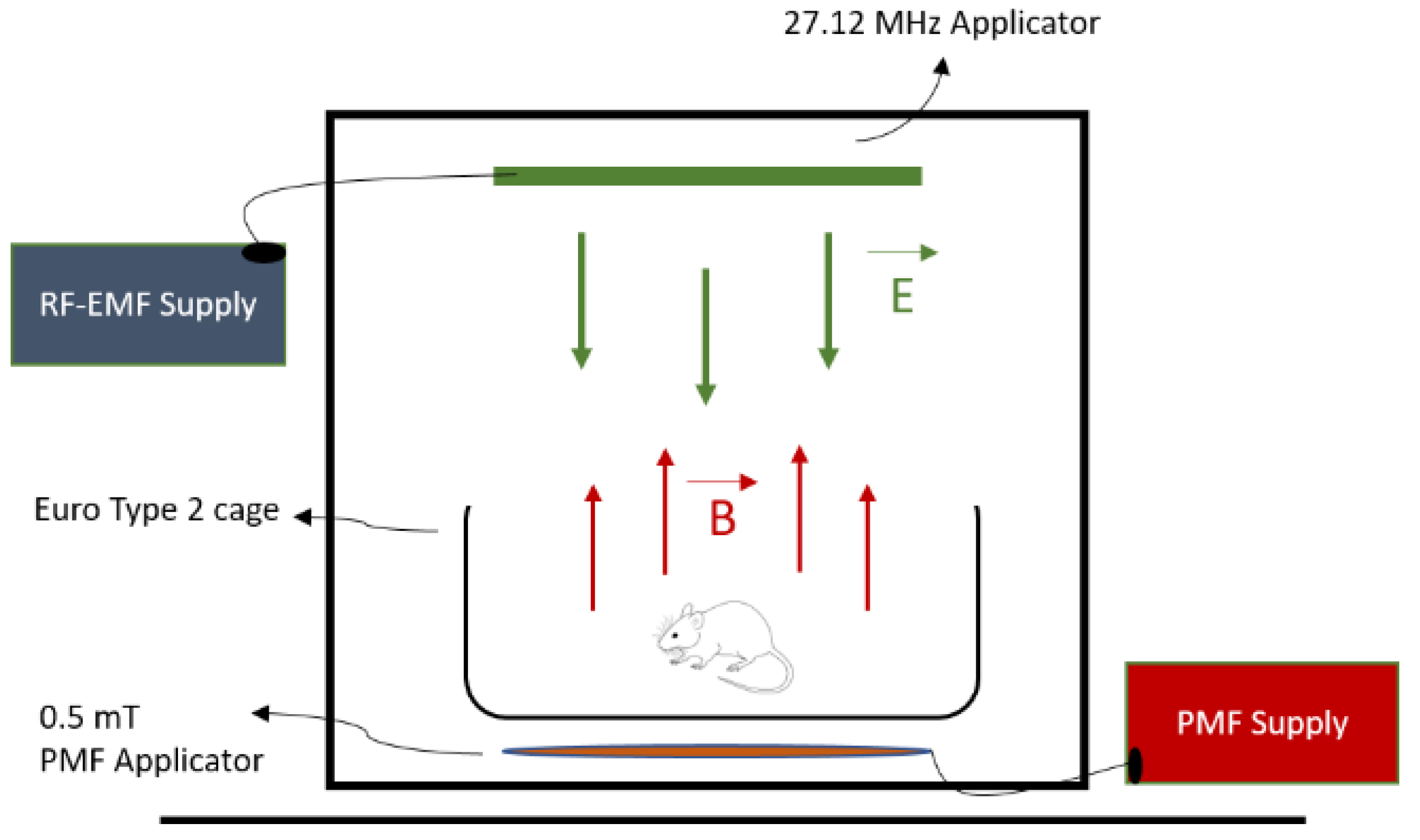 Medicina 61 00238 g001