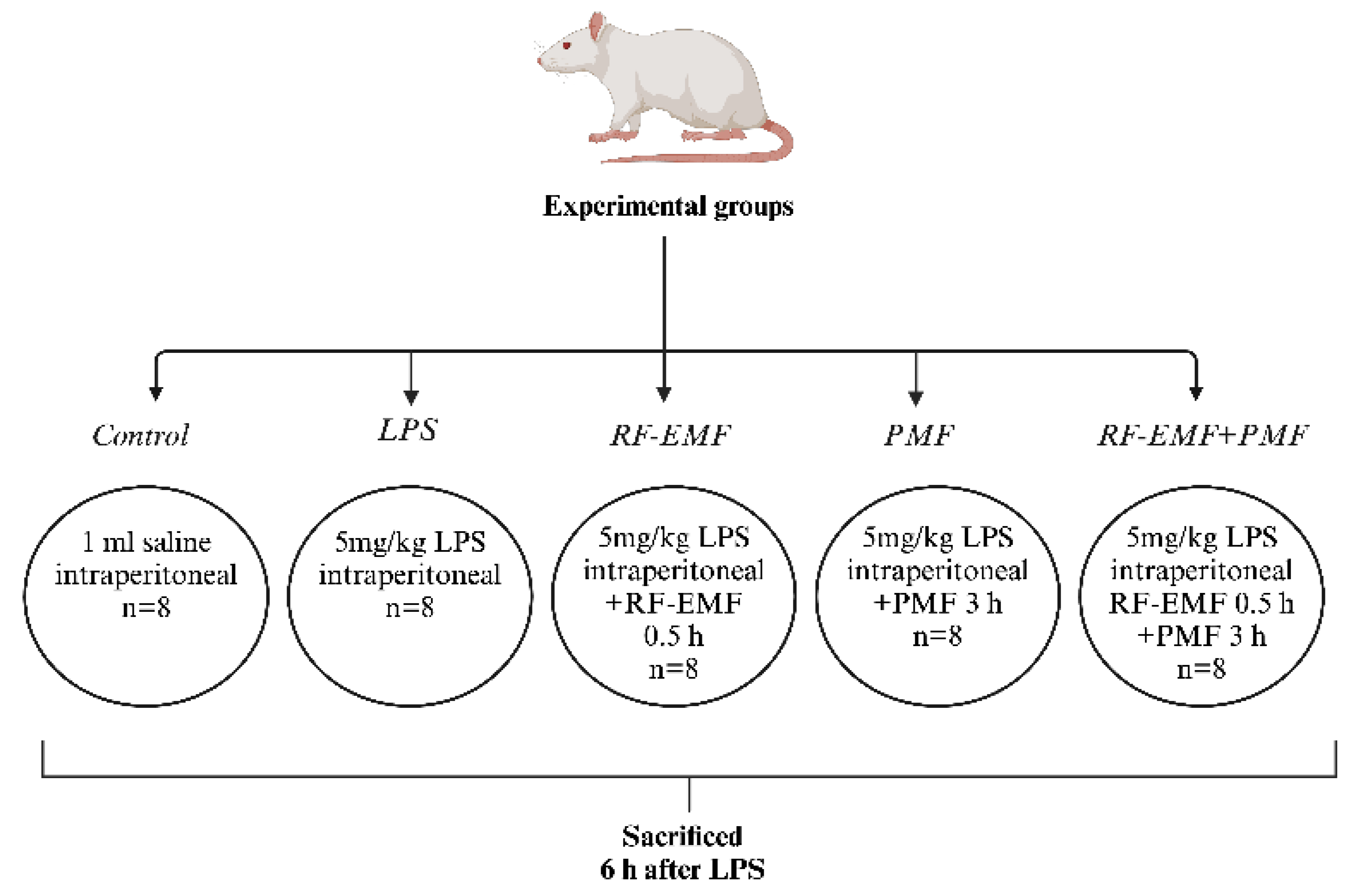Medicina 61 00238 g002