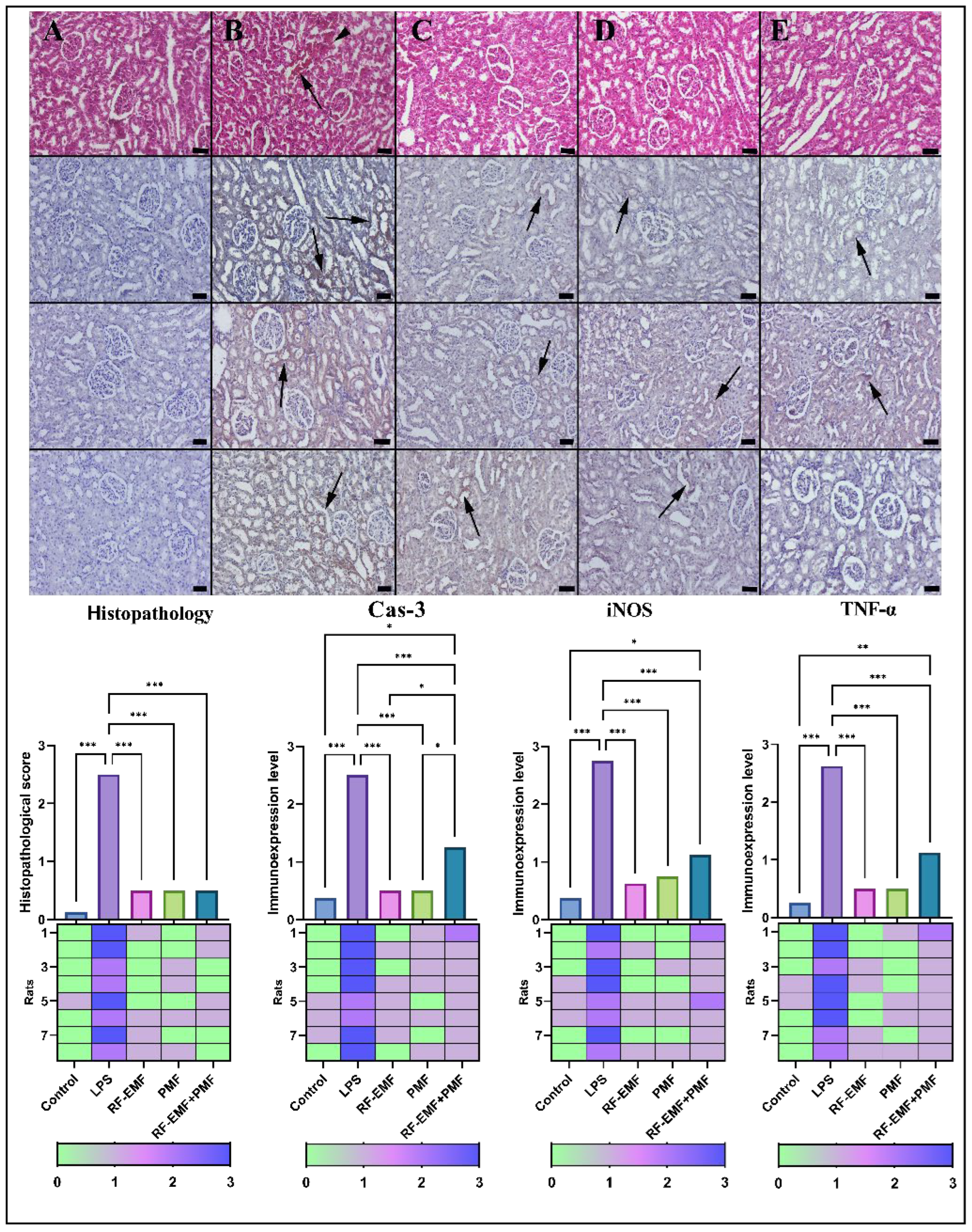 Medicina 61 00238 g003