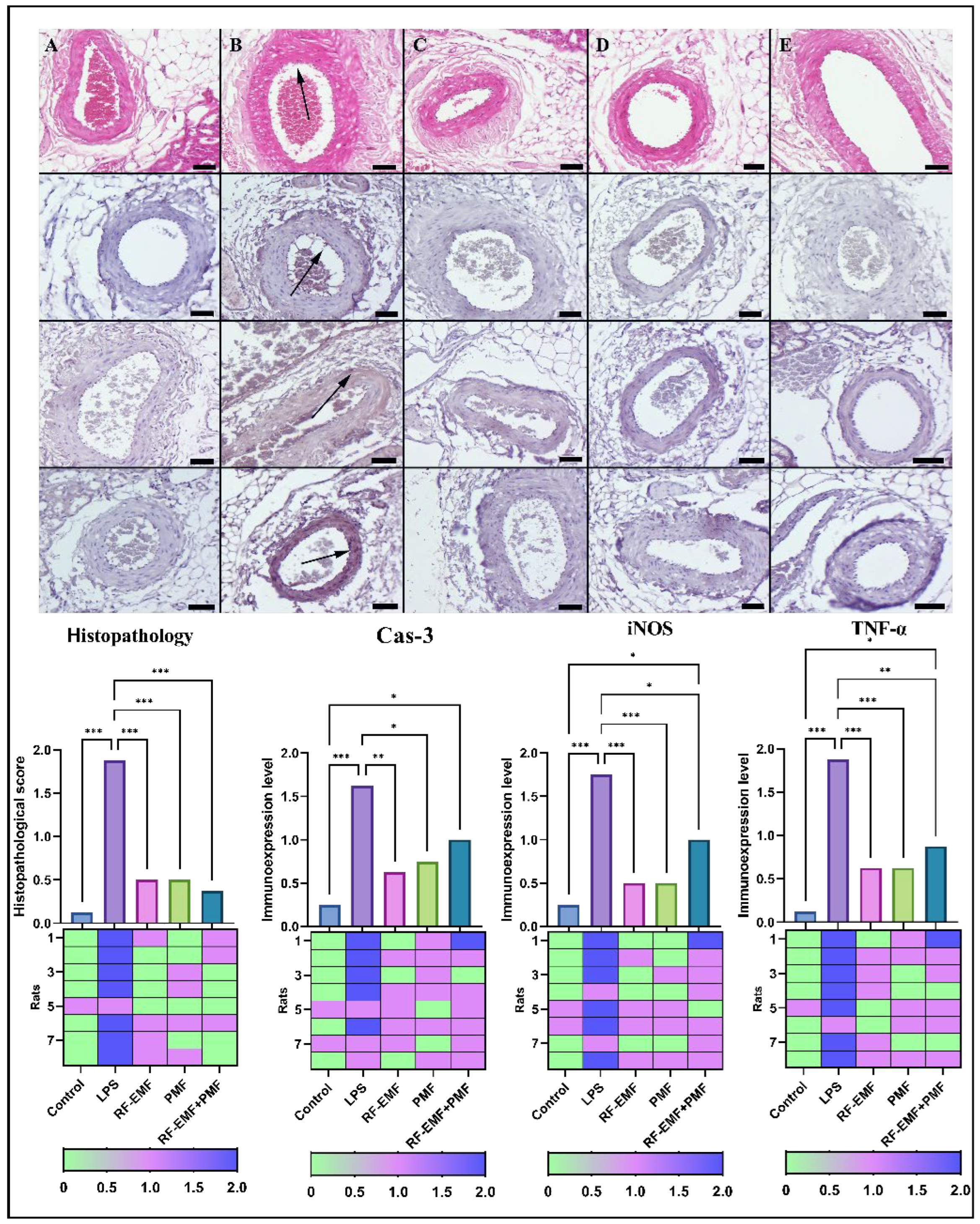 Medicina 61 00238 g004