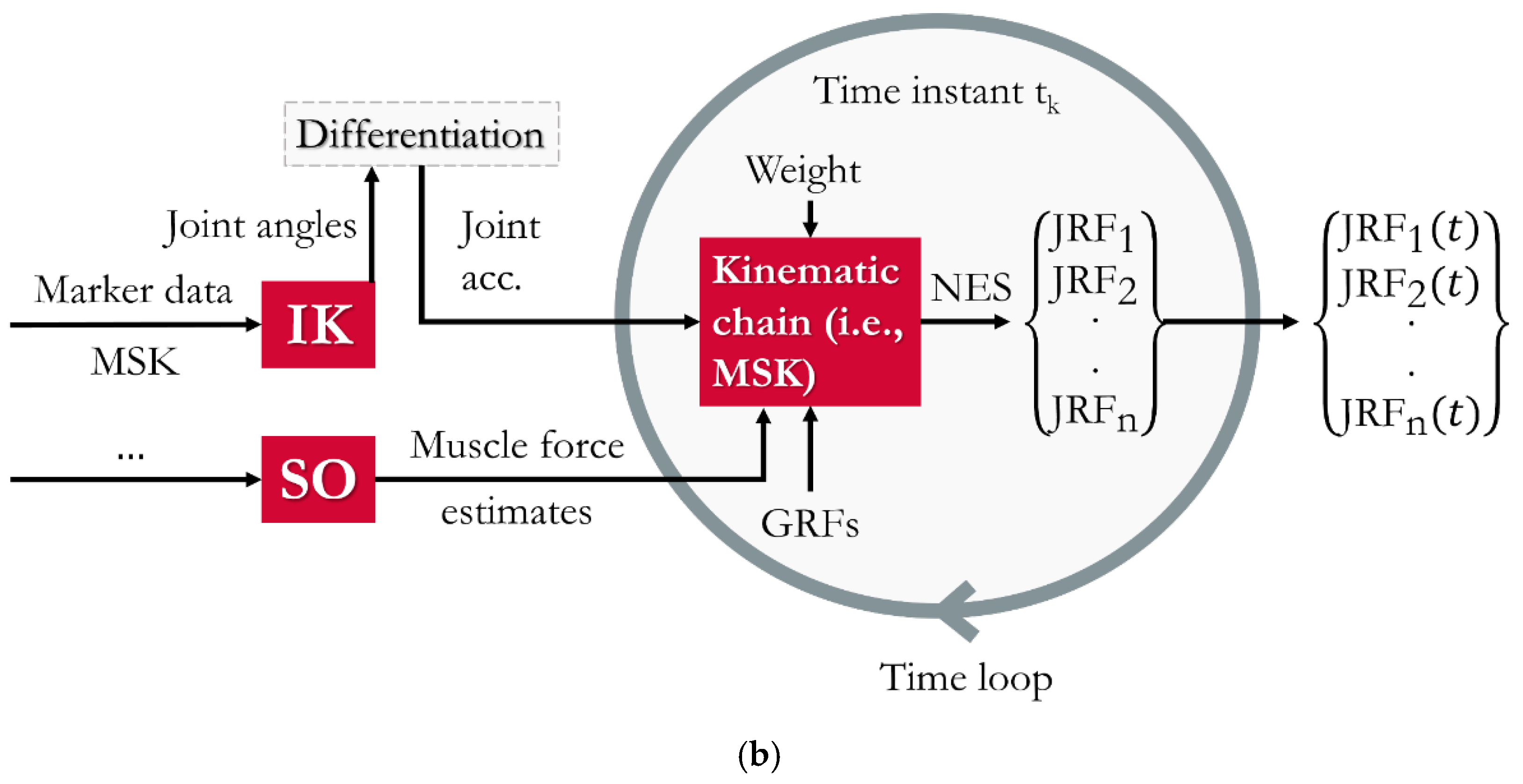 Medicina 61 00246 g001b