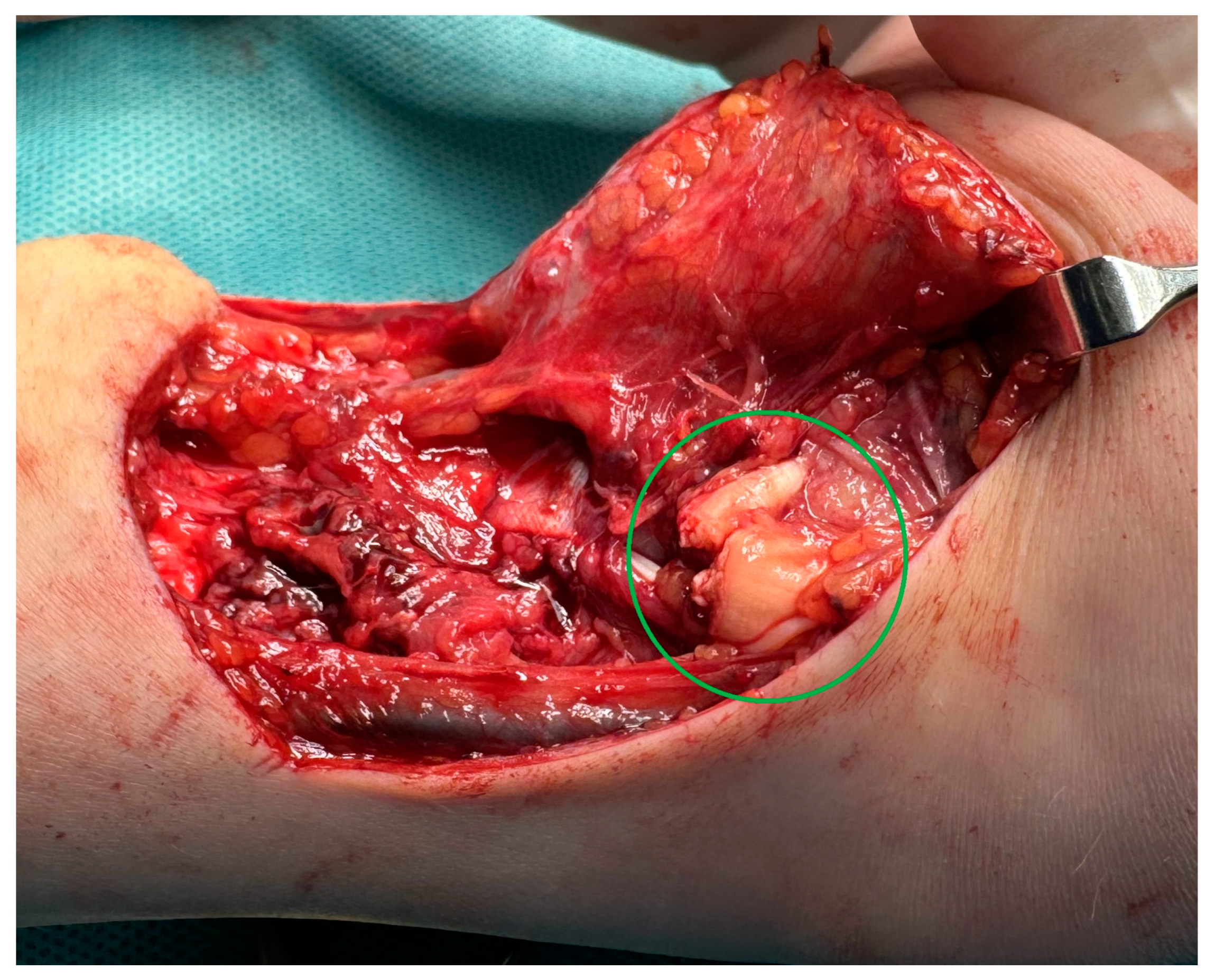 Medicina 61 00249 g002