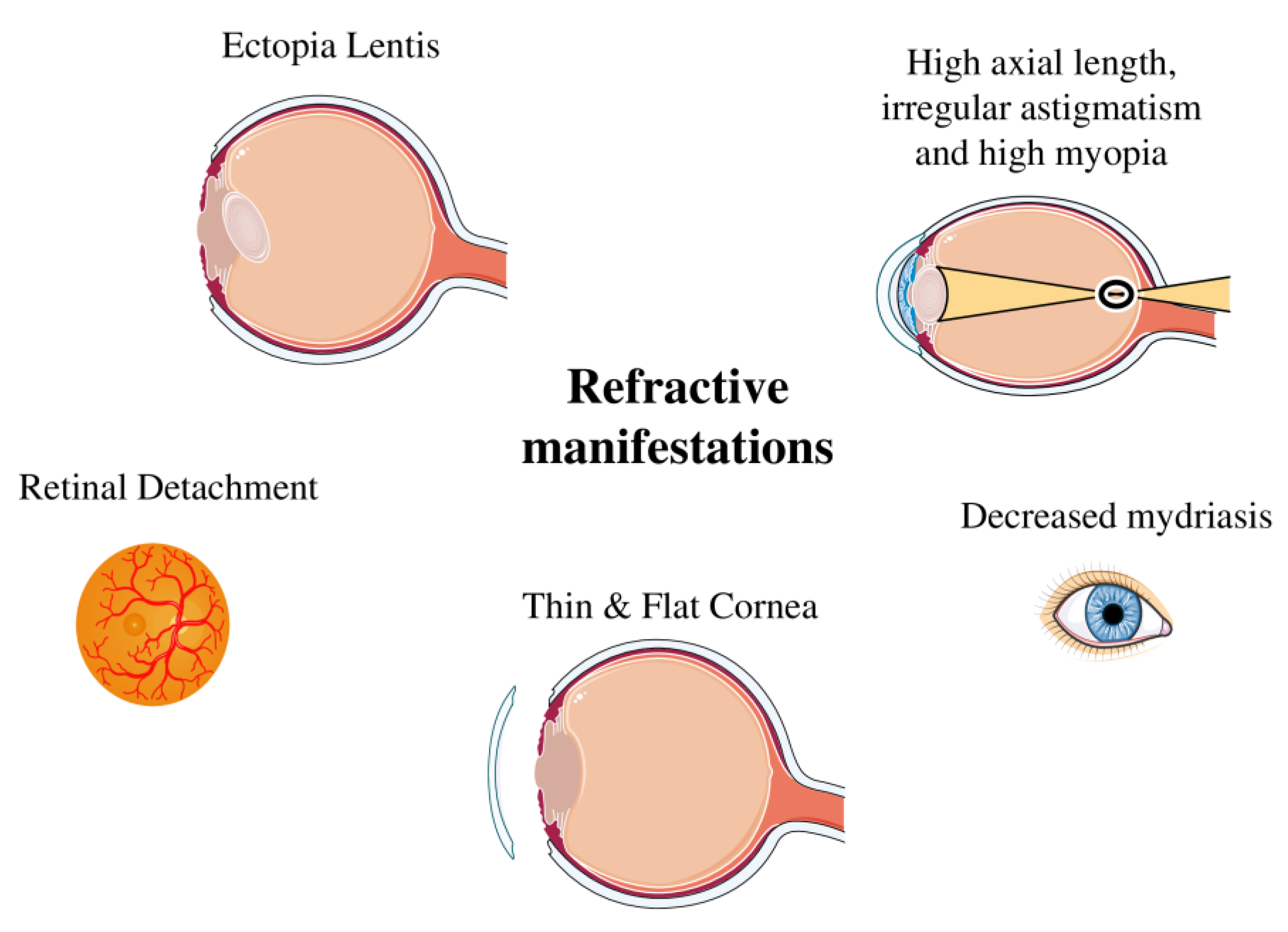 Medicina 61 00250 g003