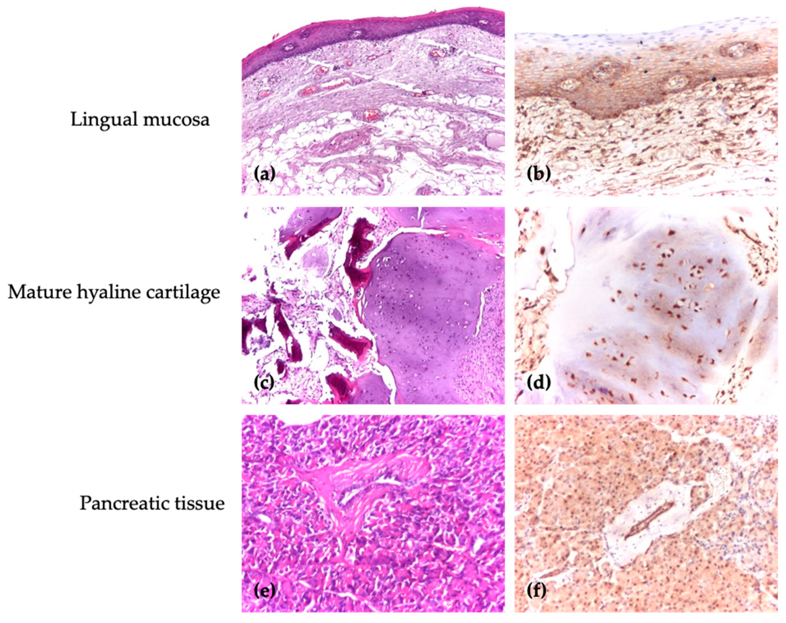 Medicina 61 00251 g001