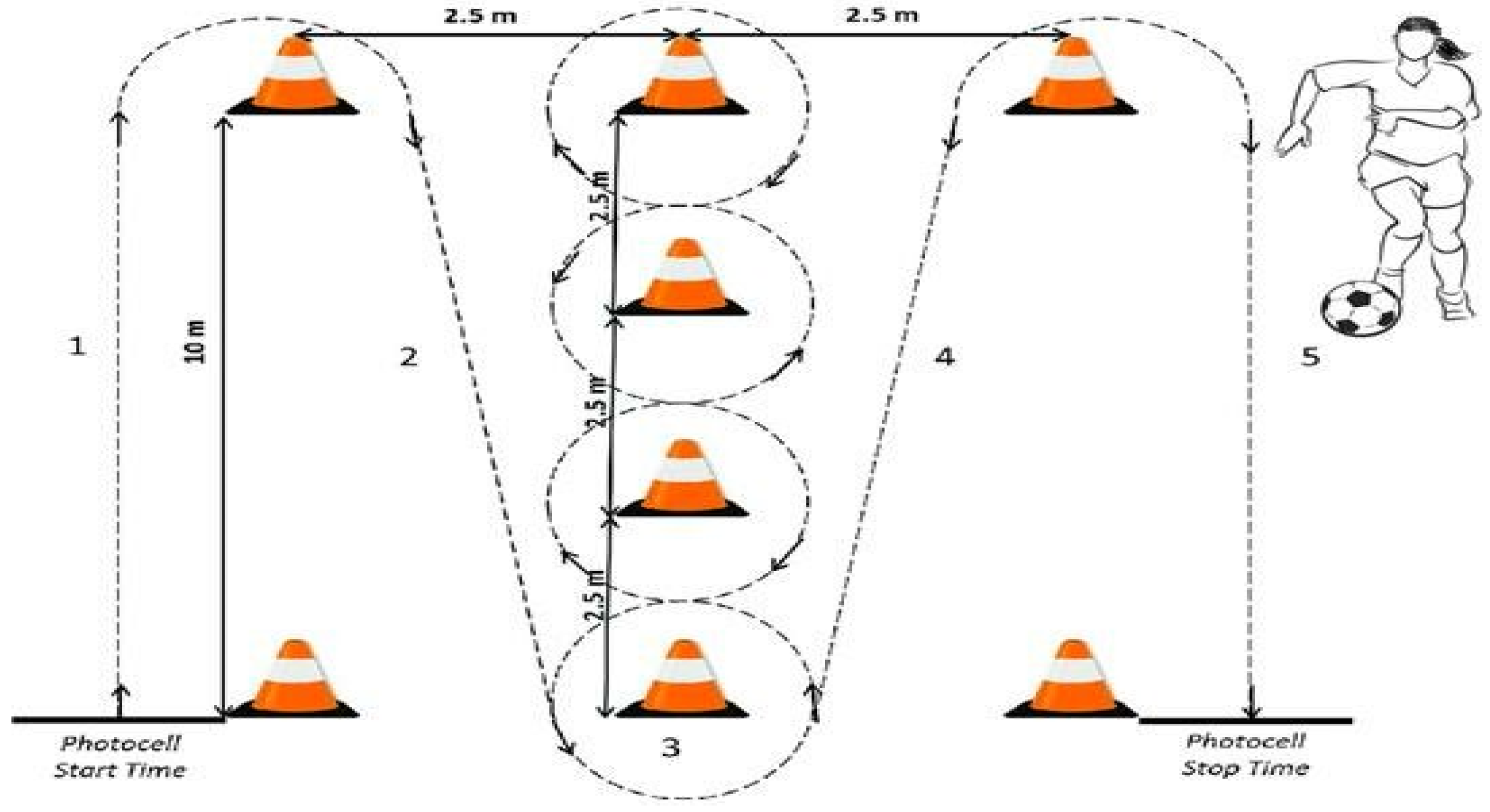Medicina 61 00252 g002