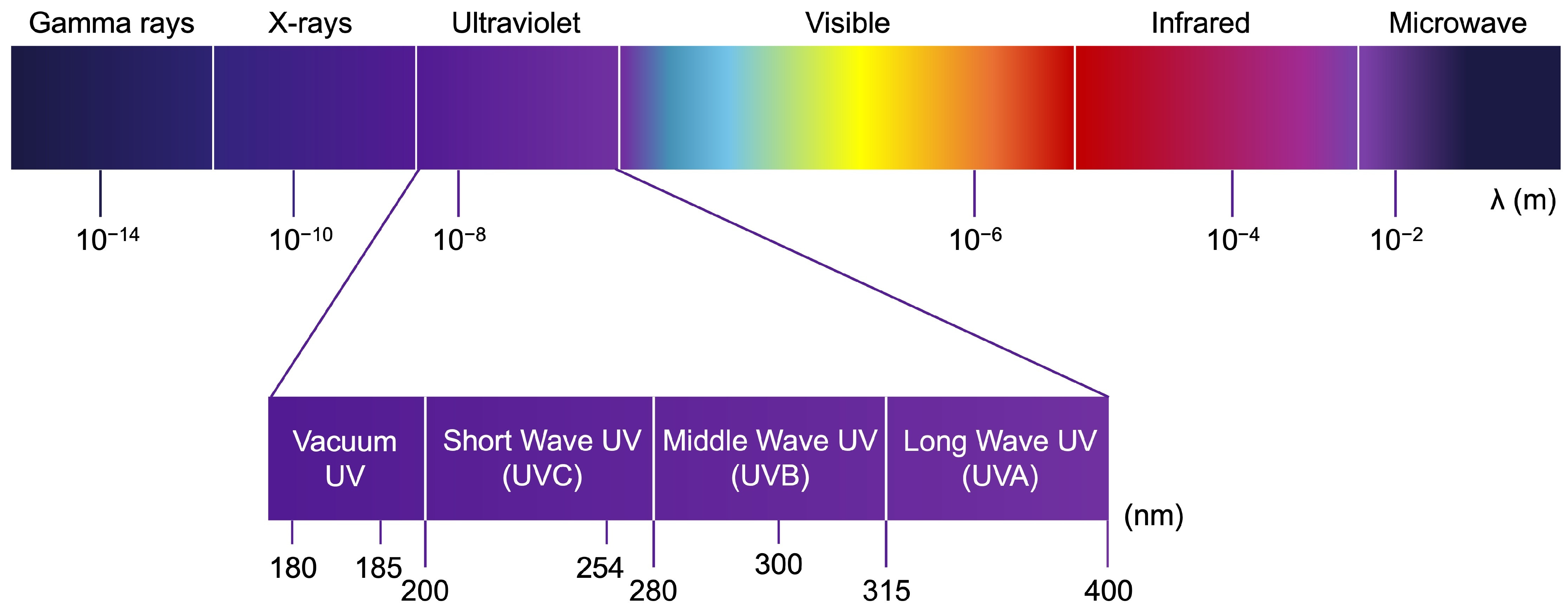 Medicina 61 00254 g003