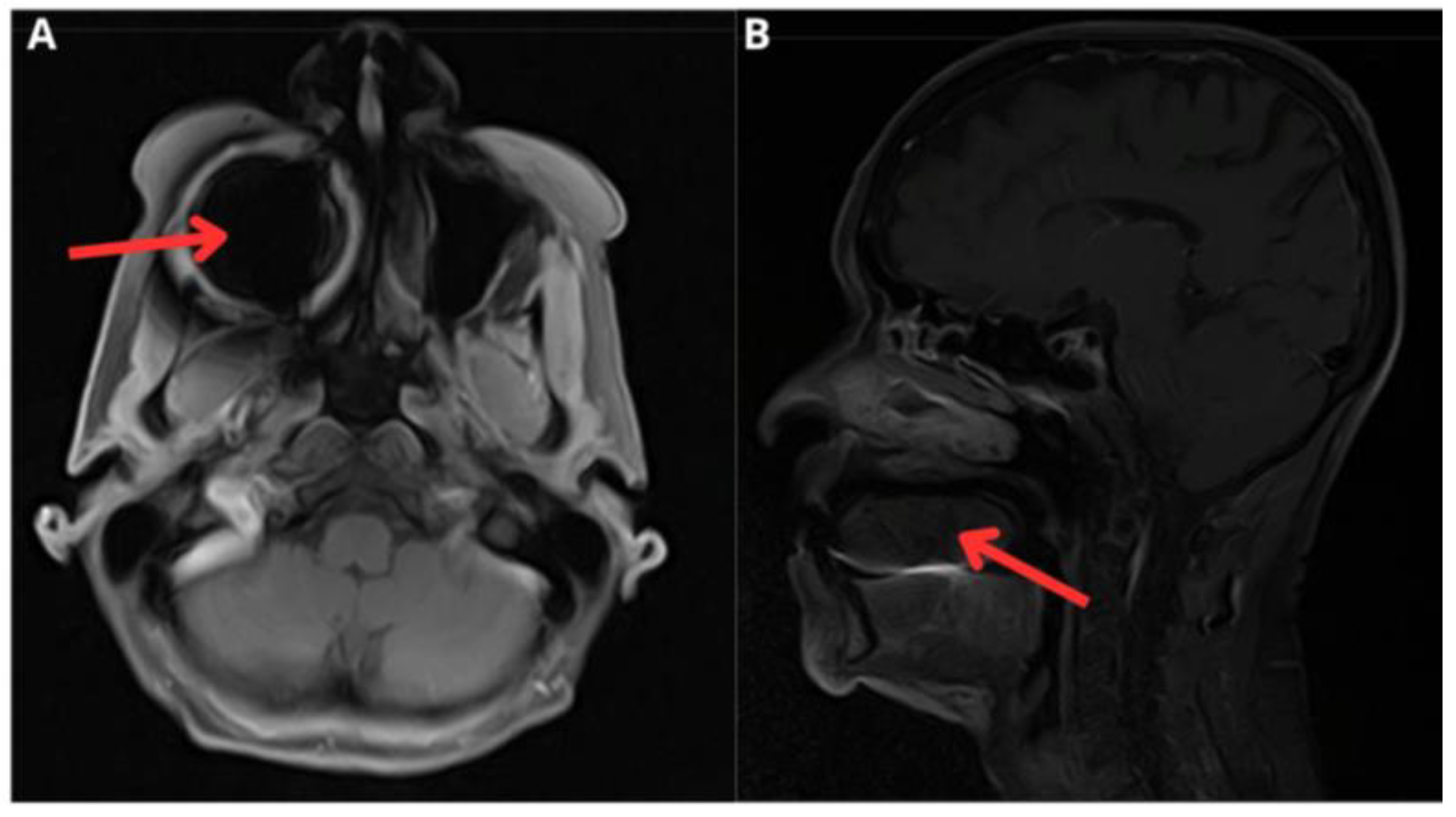 Medicina 61 00256 g003