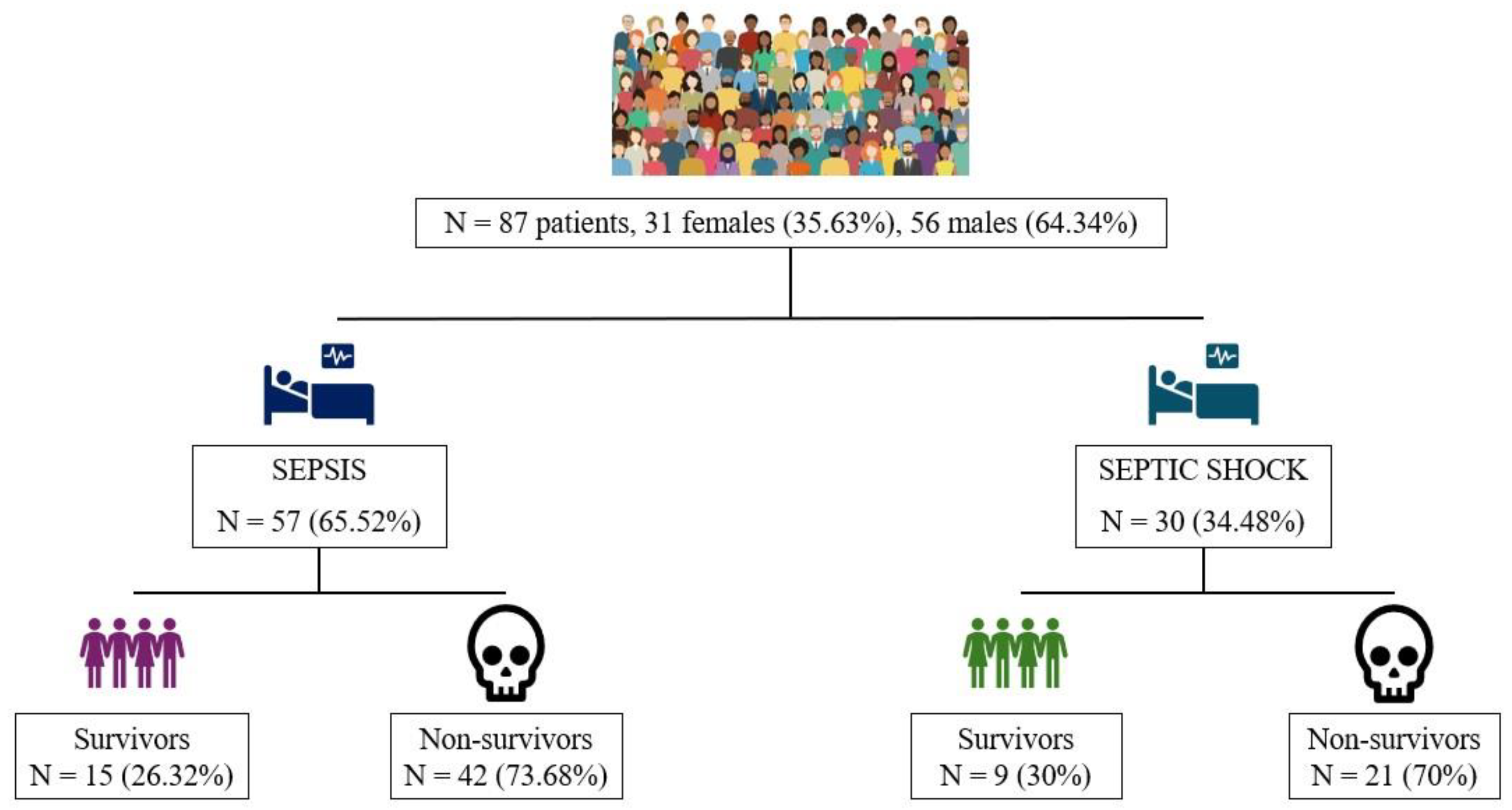 Medicina 61 00258 g002