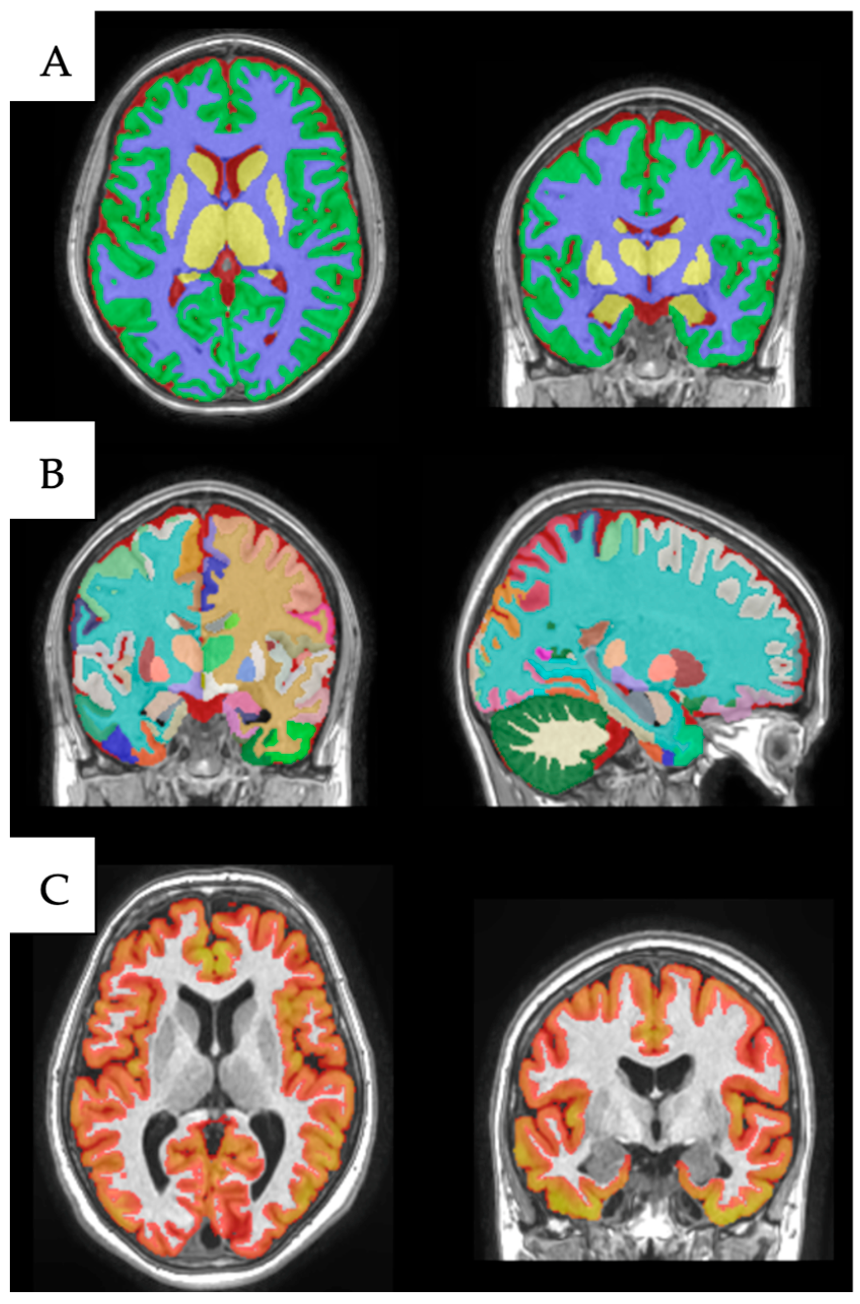 Medicina 61 00261 g001