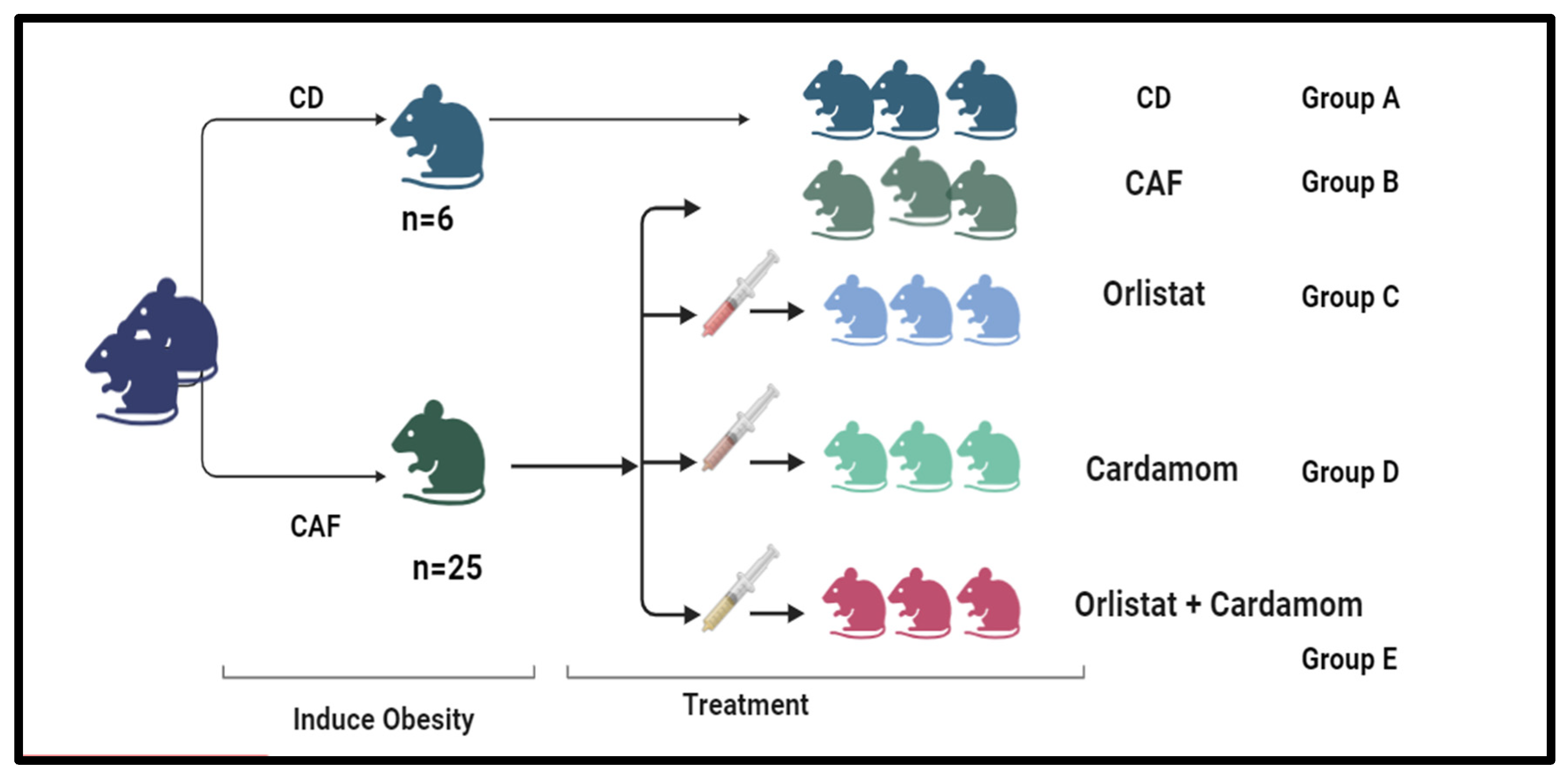 Medicina 61 00263 g001
