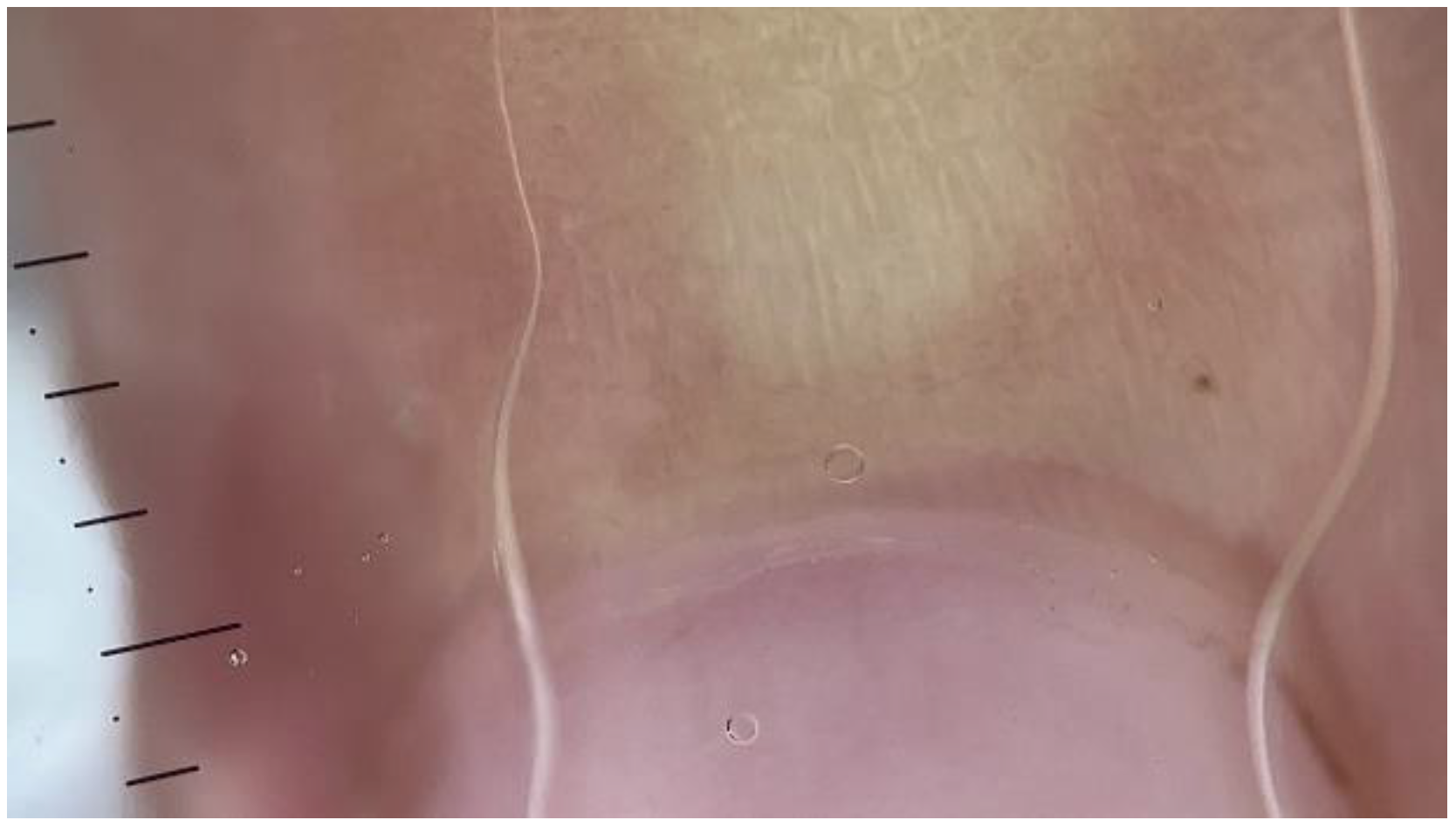 Medicina 61 00264 g003