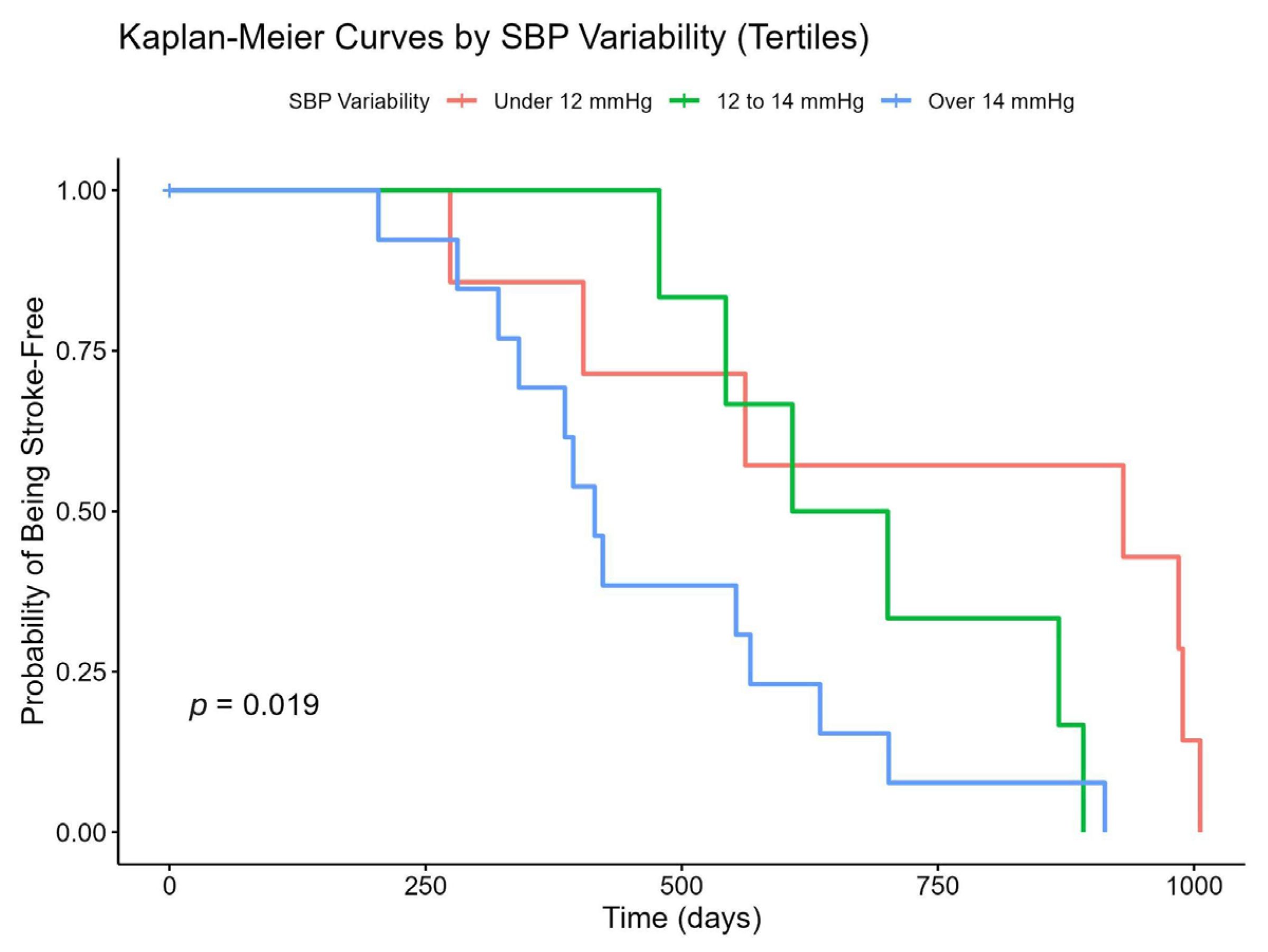 Medicina 61 00267 g001