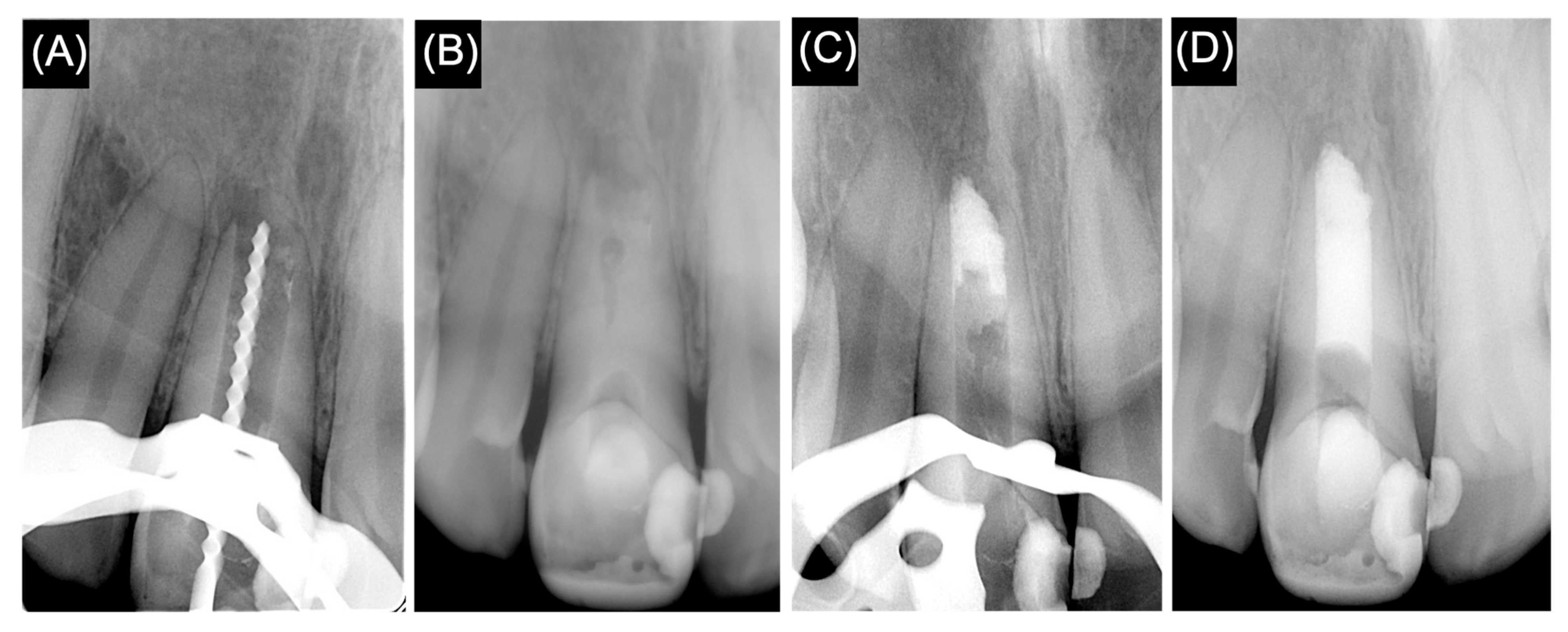 Medicina 61 00276 g002