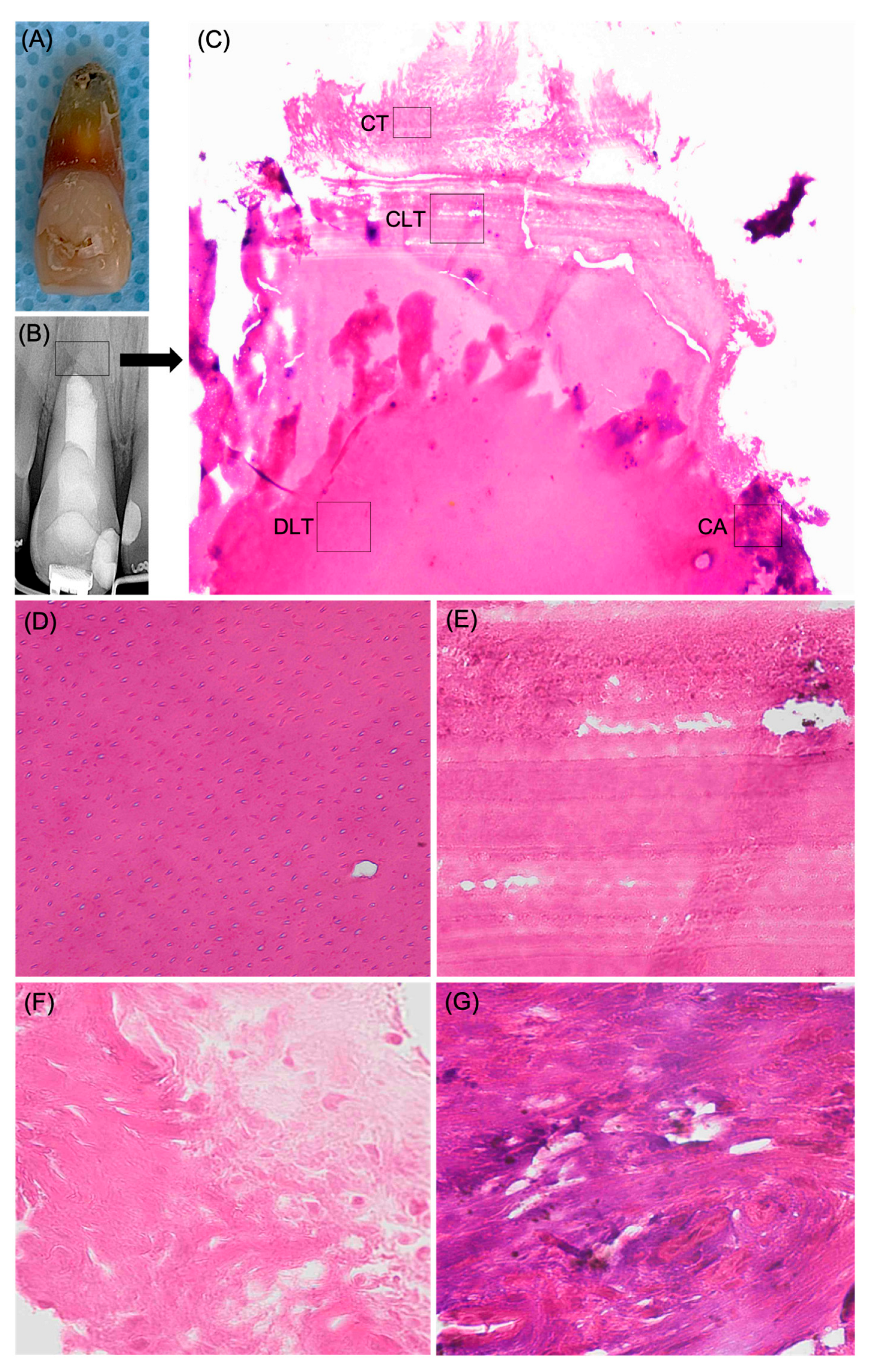 Medicina 61 00276 g005