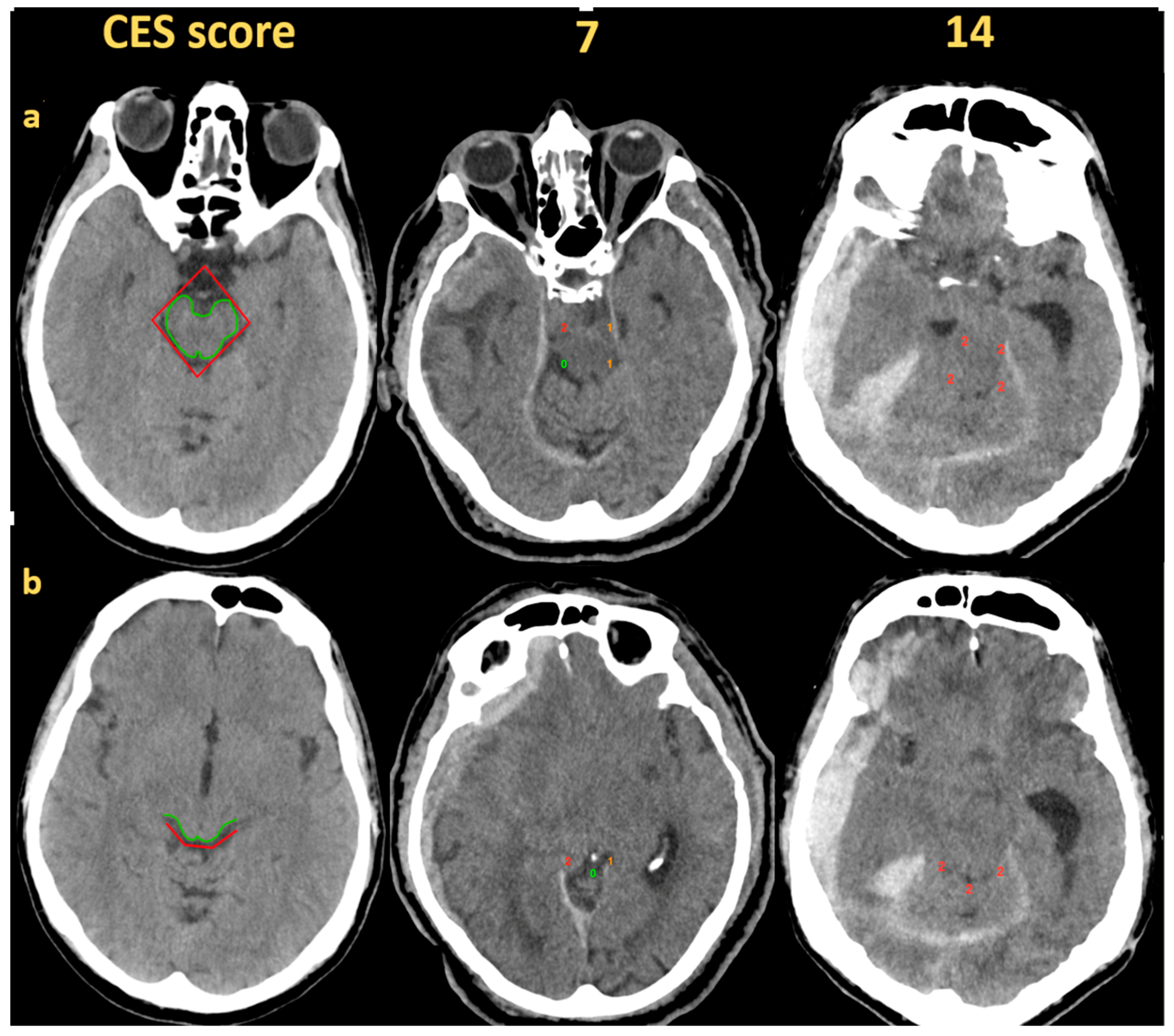 Medicina 61 00288 g001
