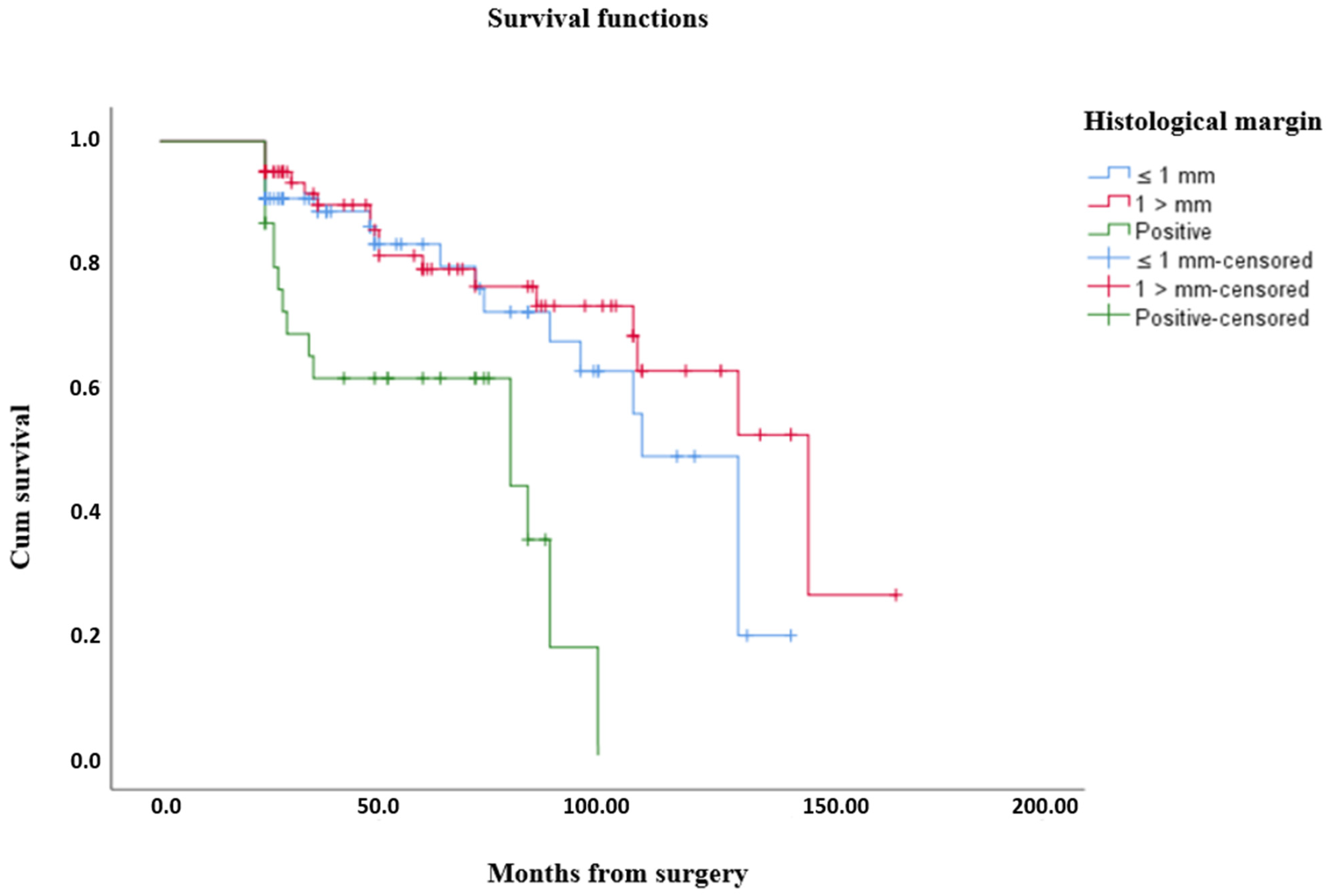 Medicina 61 00289 g003