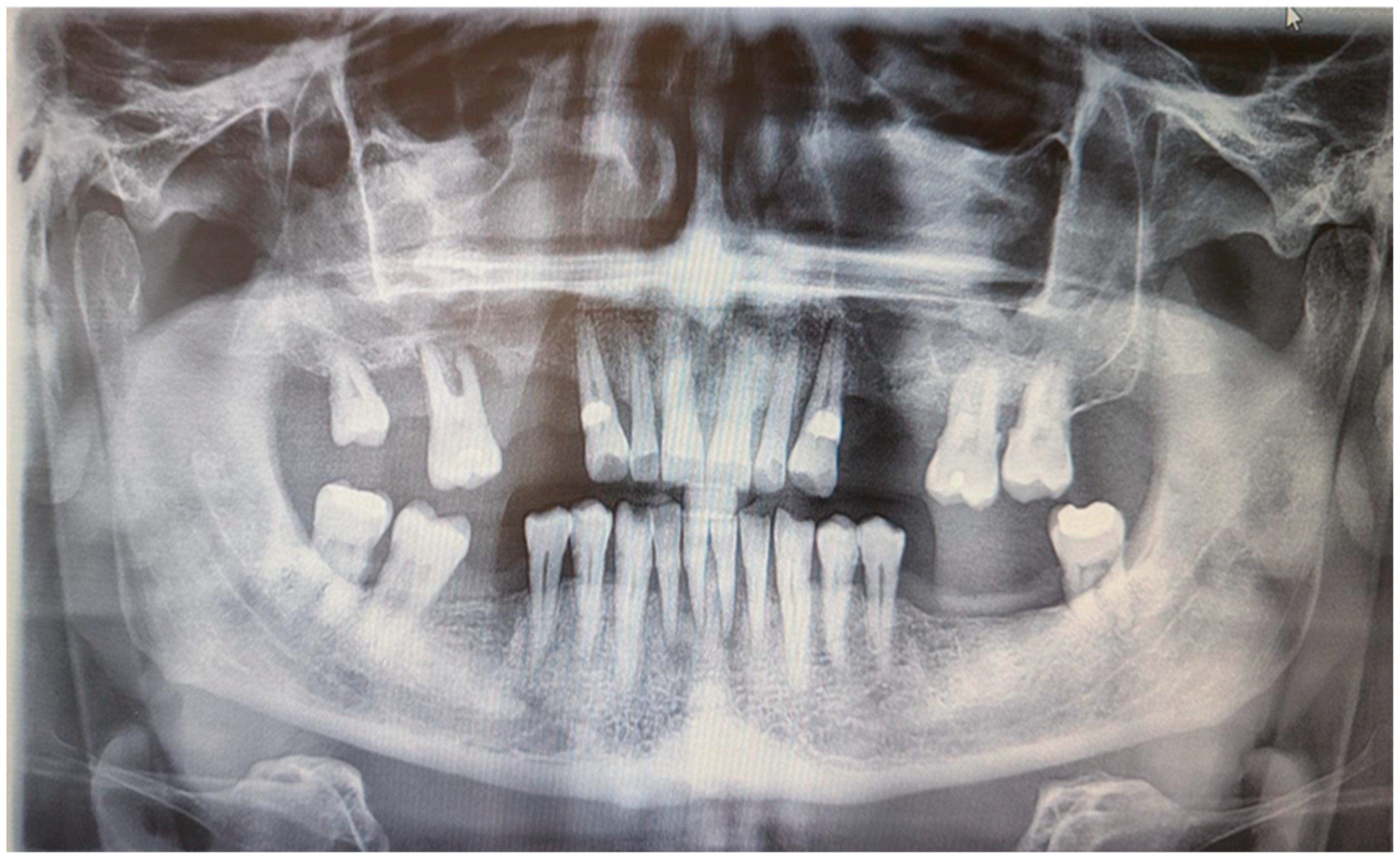 Medicina 61 00299 g002