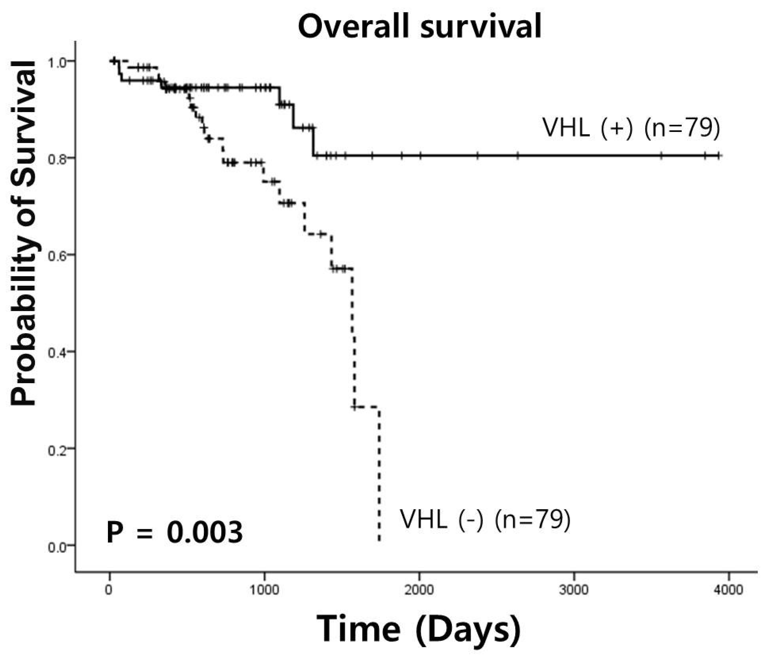 Medicina 61 00306 g003