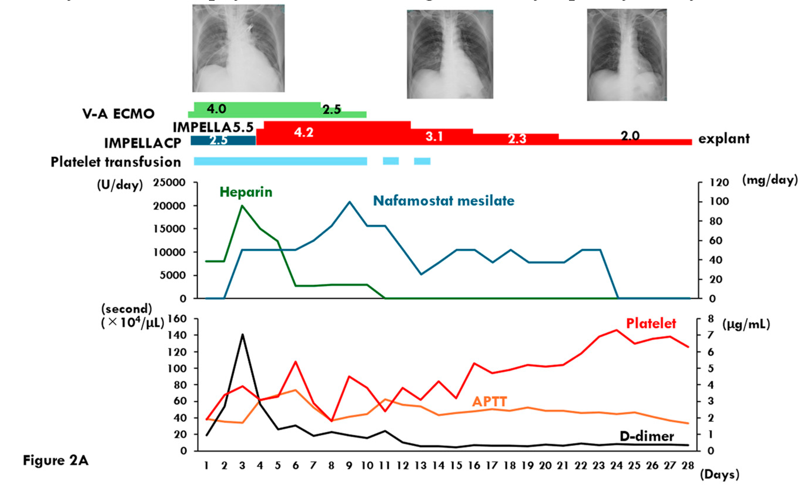 Medicina 61 00309 g002a