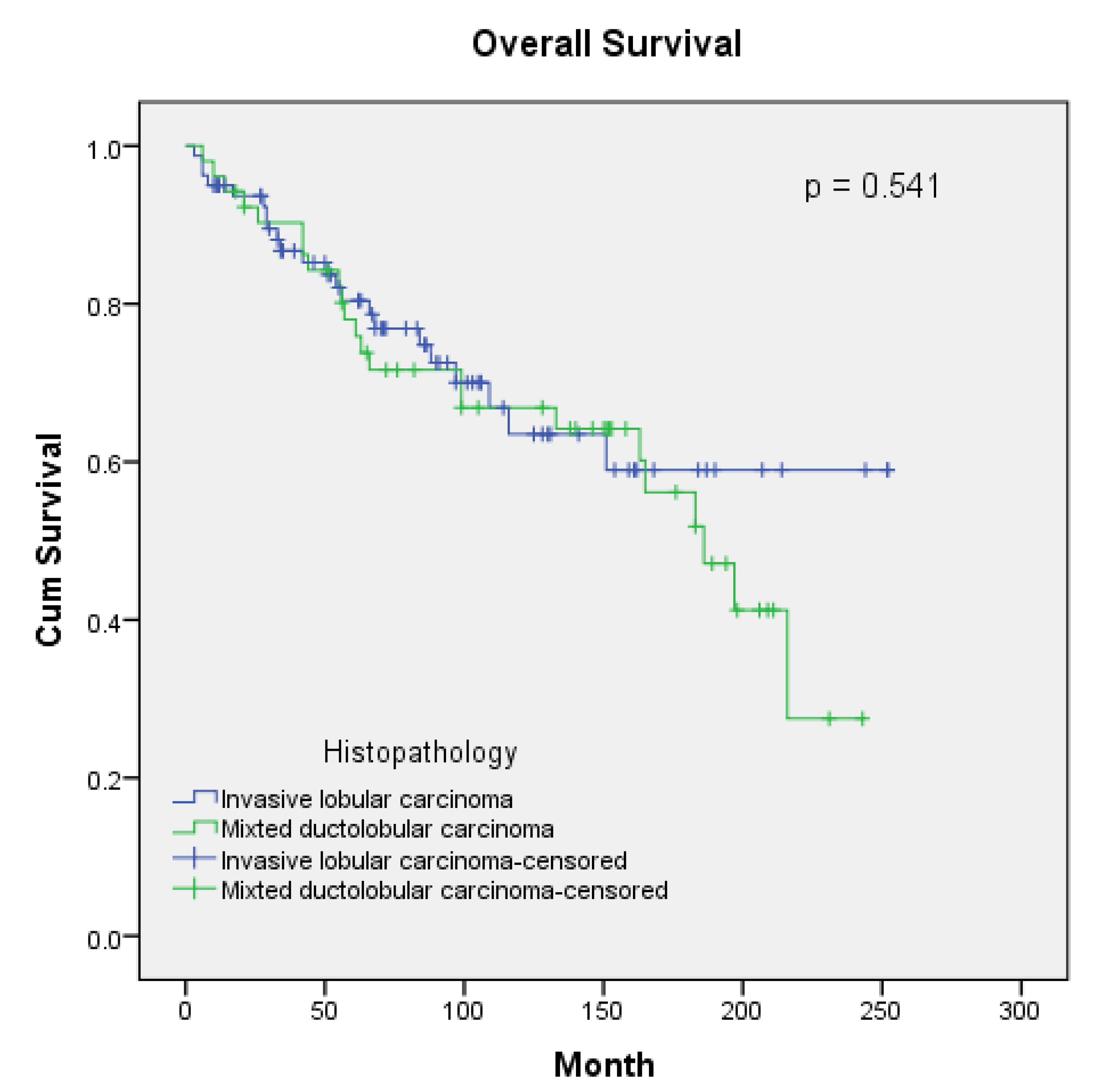 Medicina 61 00310 g001