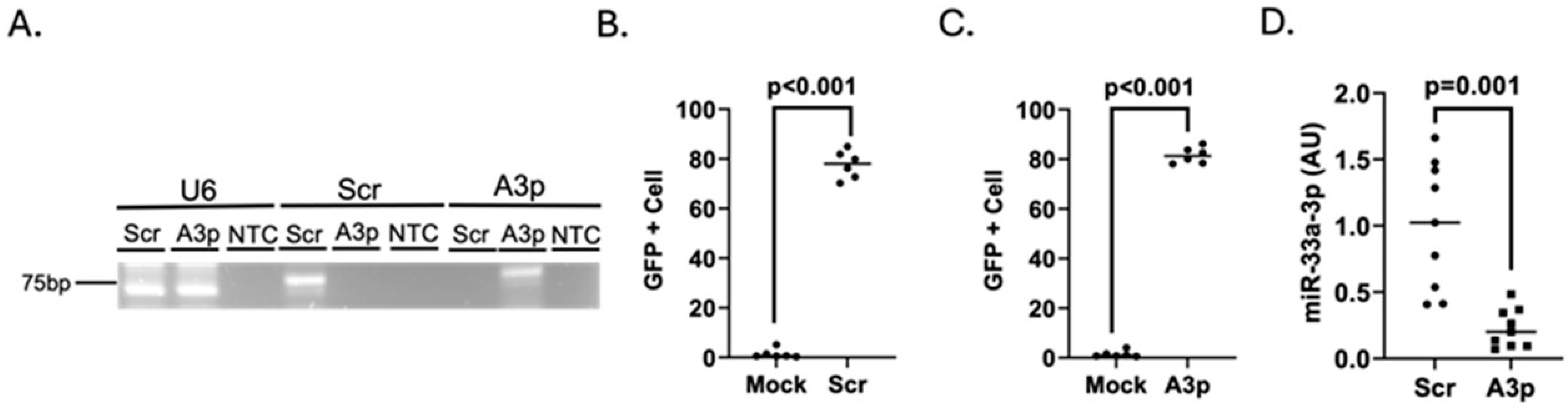 Medicina 61 00329 g002