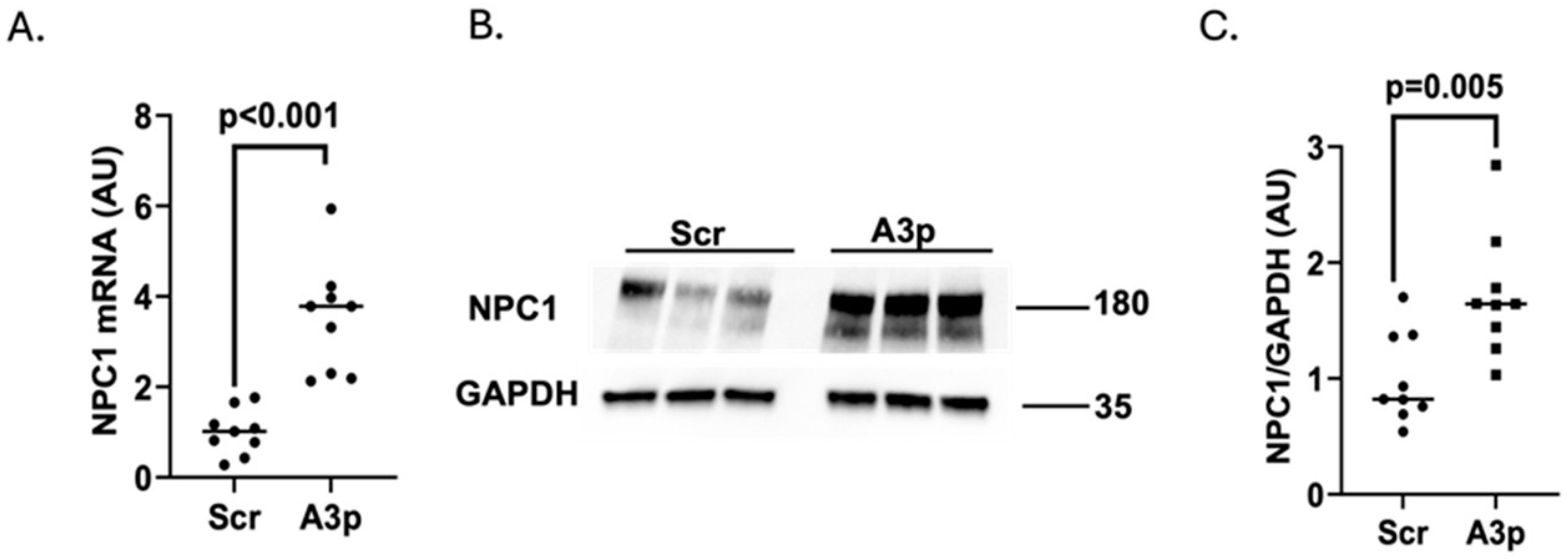 Medicina 61 00329 g003