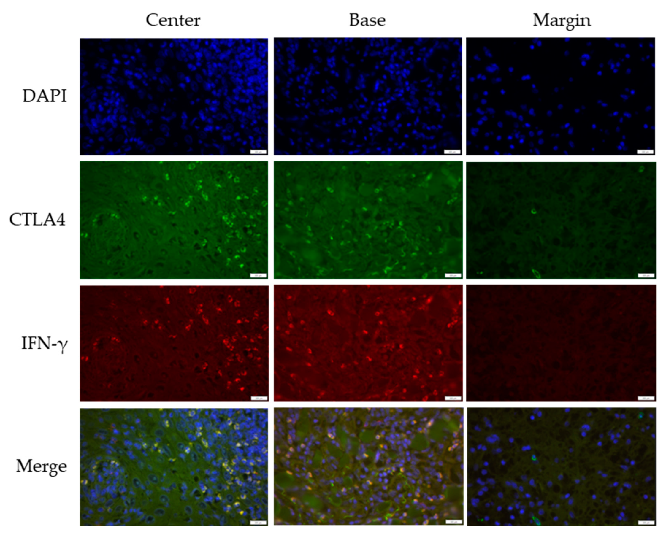 Medicina 61 00330 g001