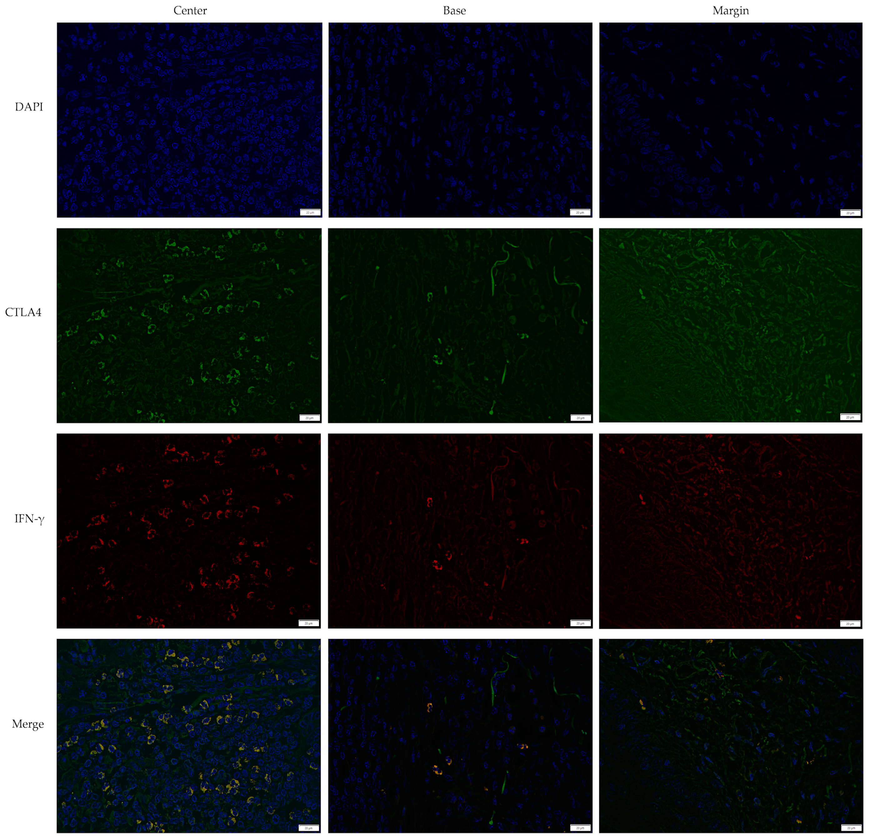 Medicina 61 00330 g002