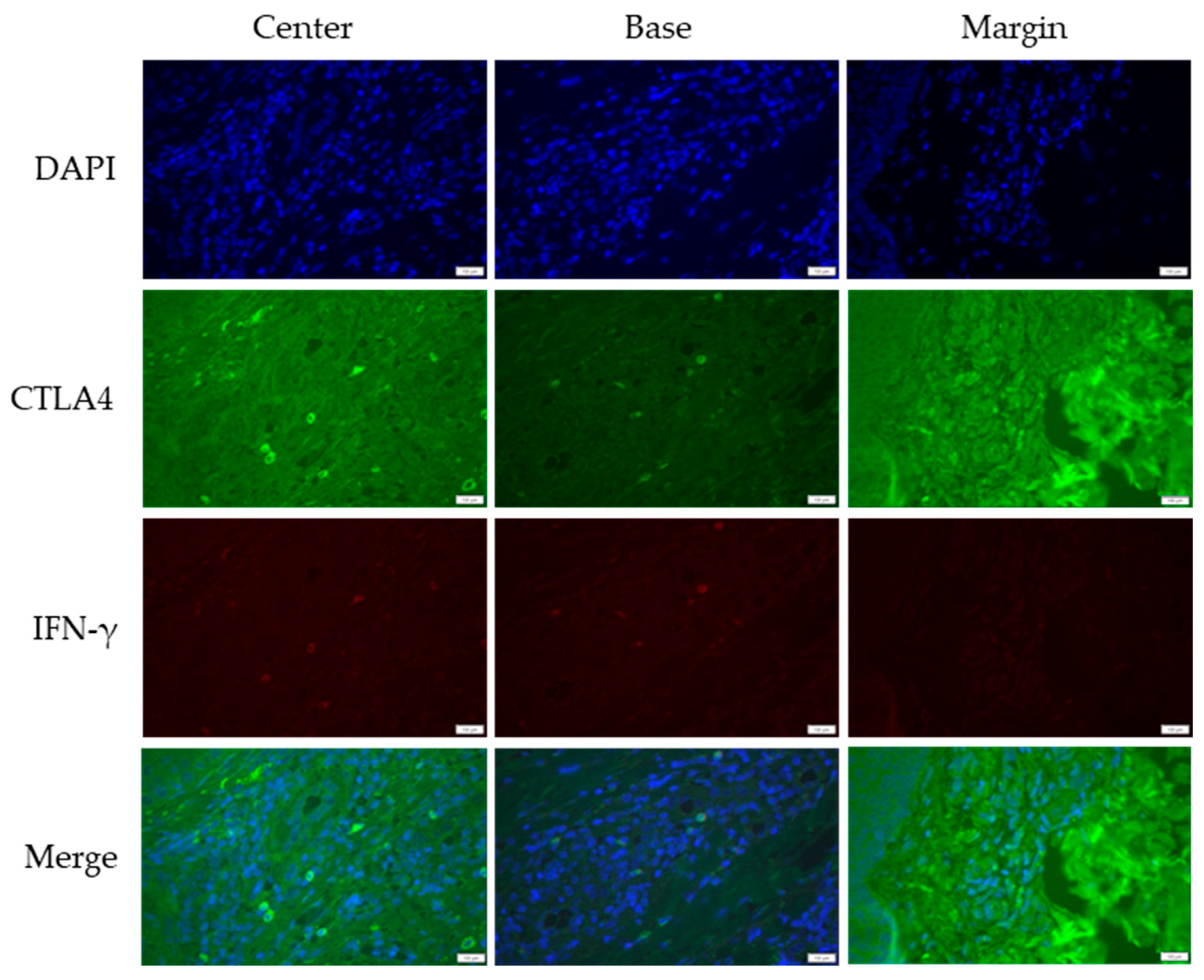 Medicina 61 00330 g003