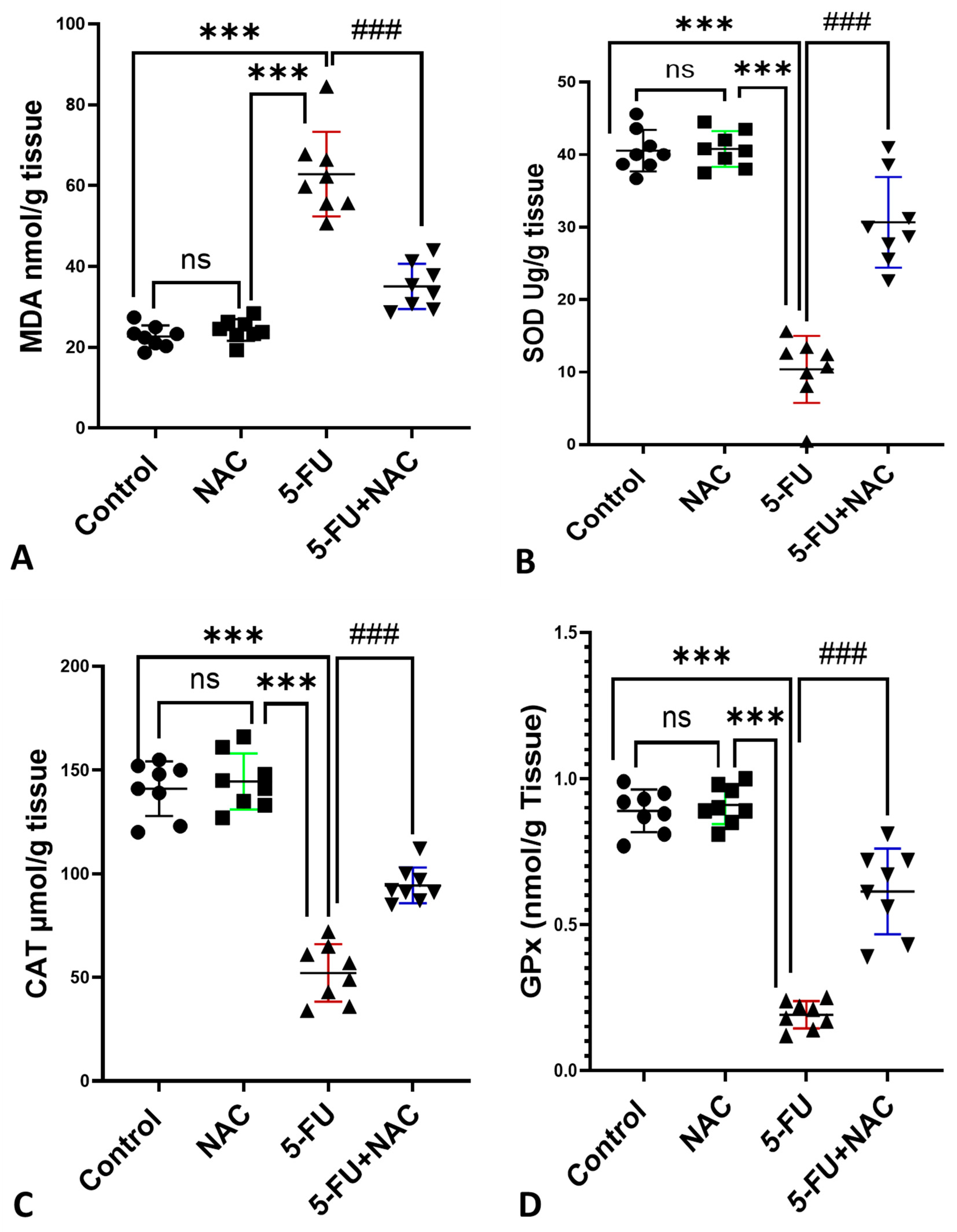 Medicina 61 00335 g003