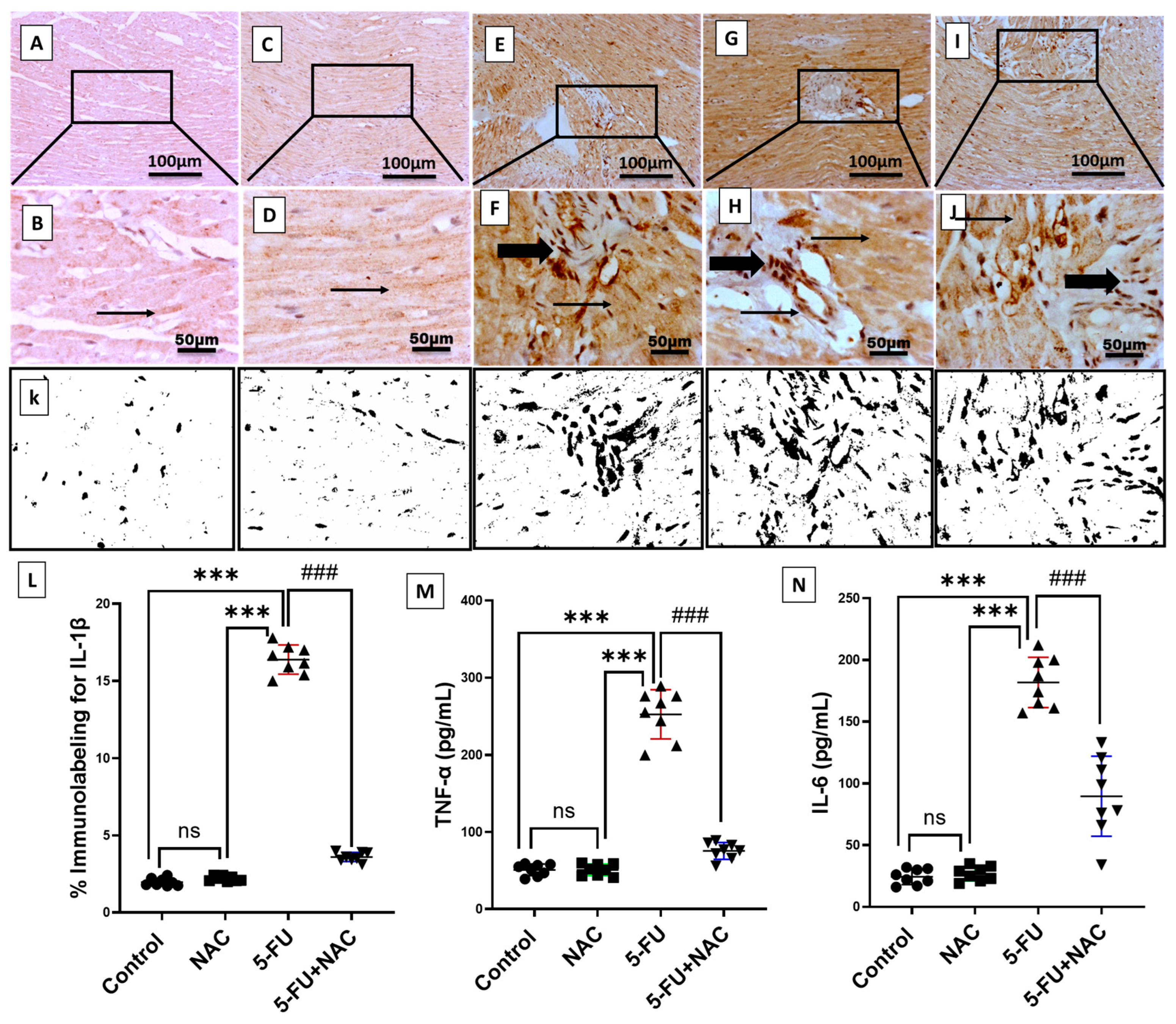 Medicina 61 00335 g006