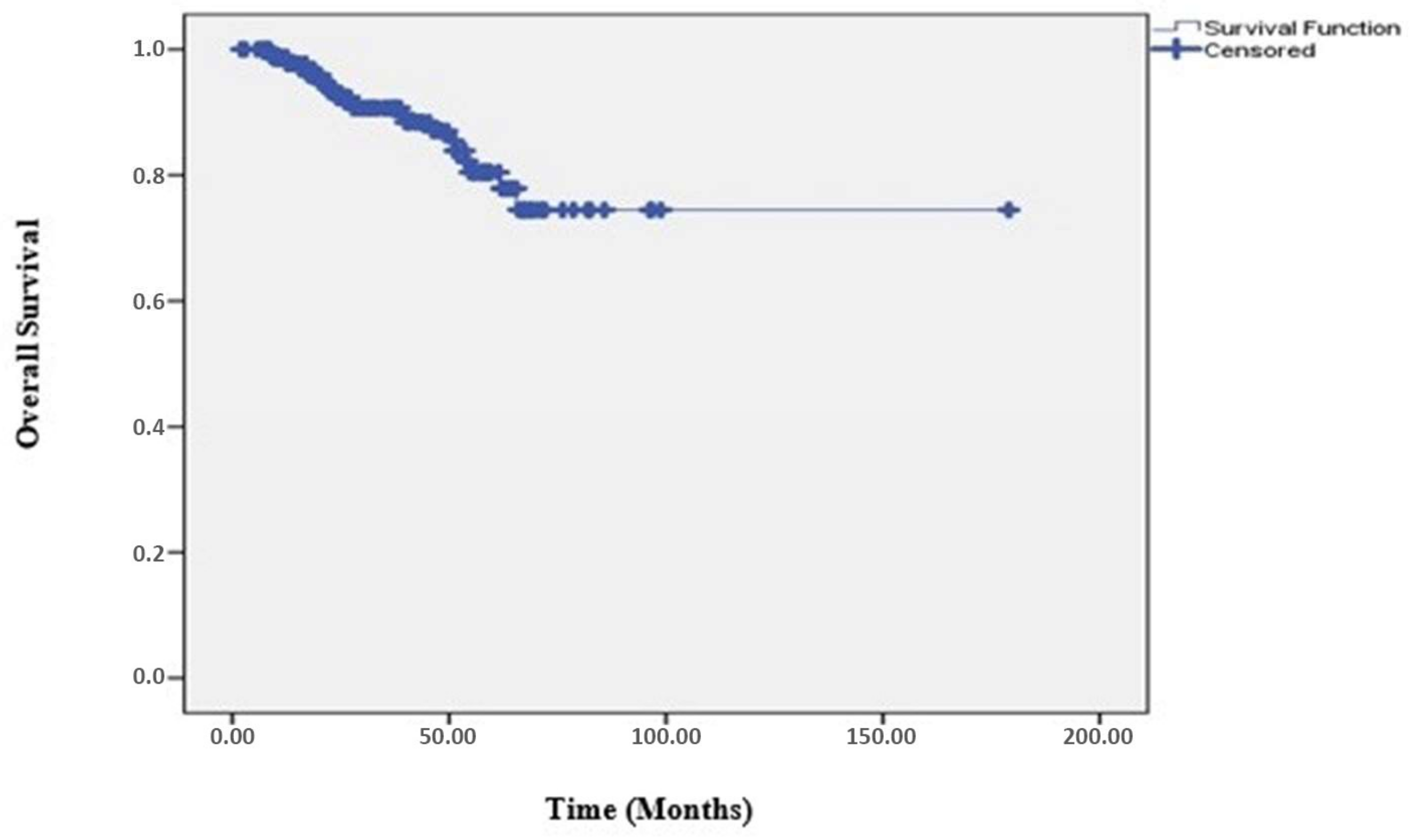 Medicina 61 00340 g002