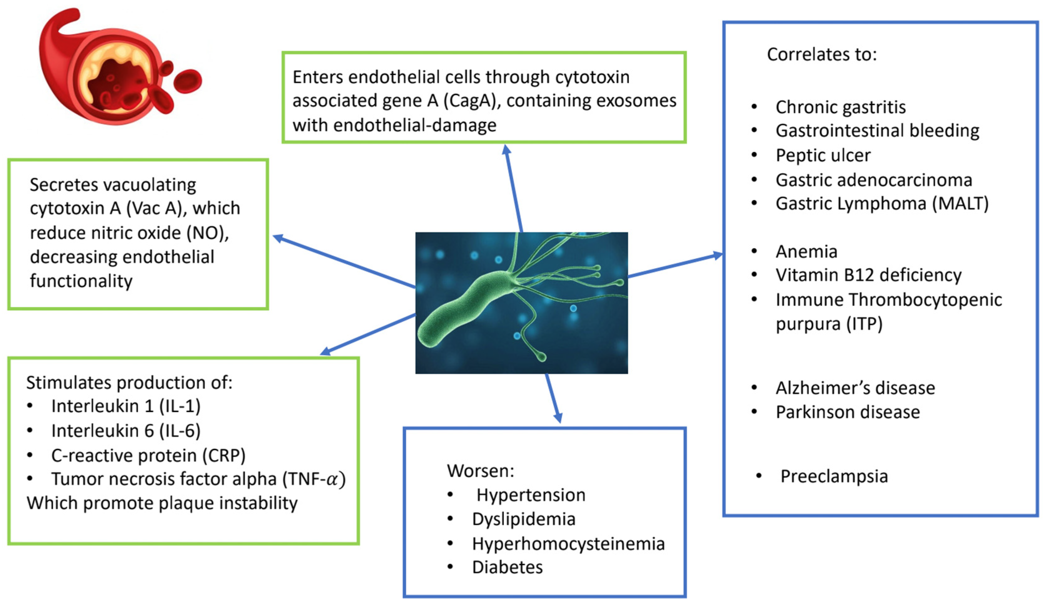Medicina 61 00346 g001