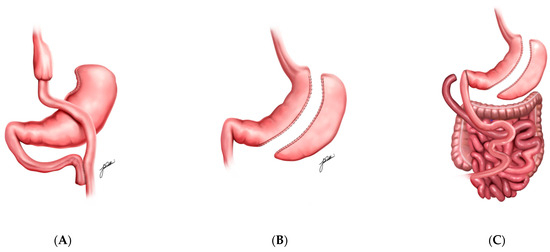 Medicina 61 00350 g001
