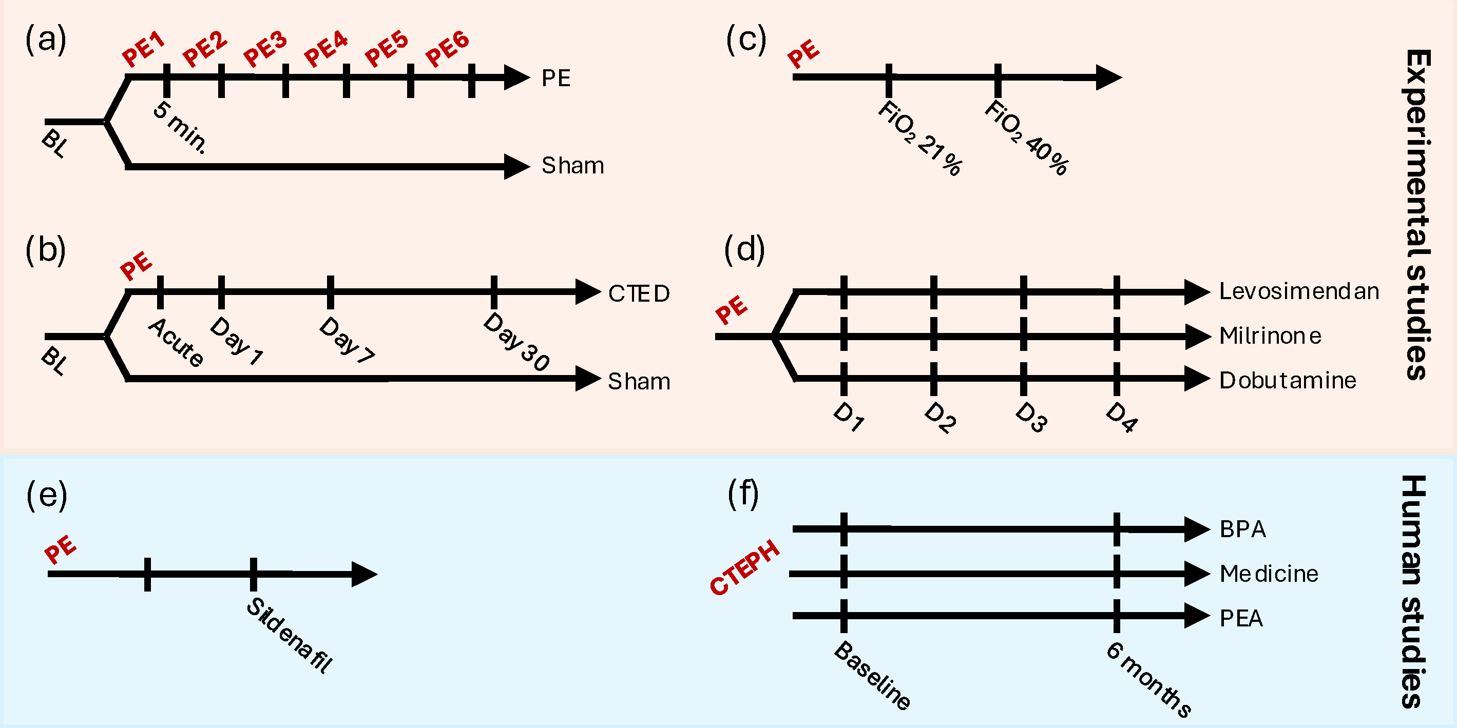 Medicina 61 00363 g001