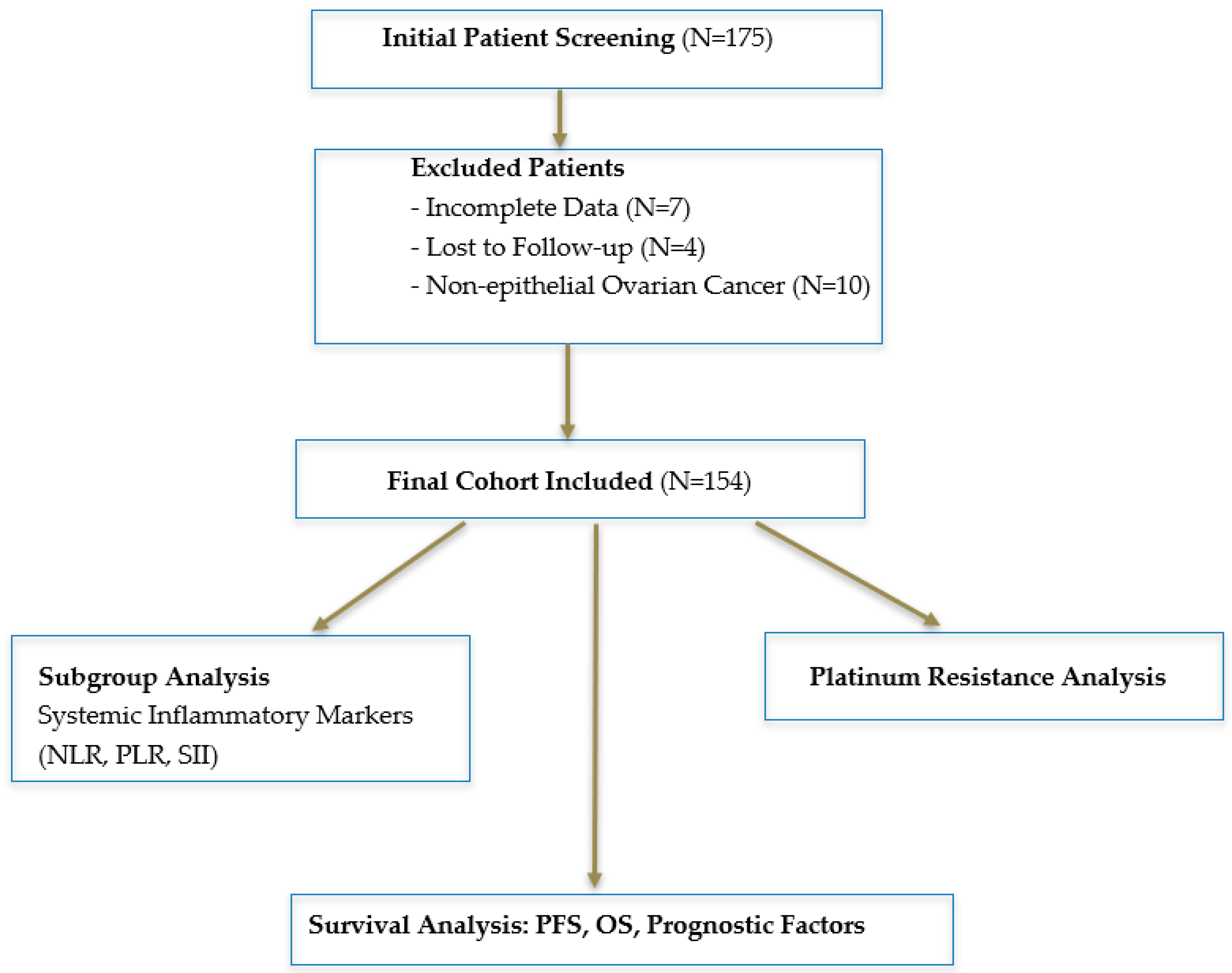 Medicina 61 00380 g001