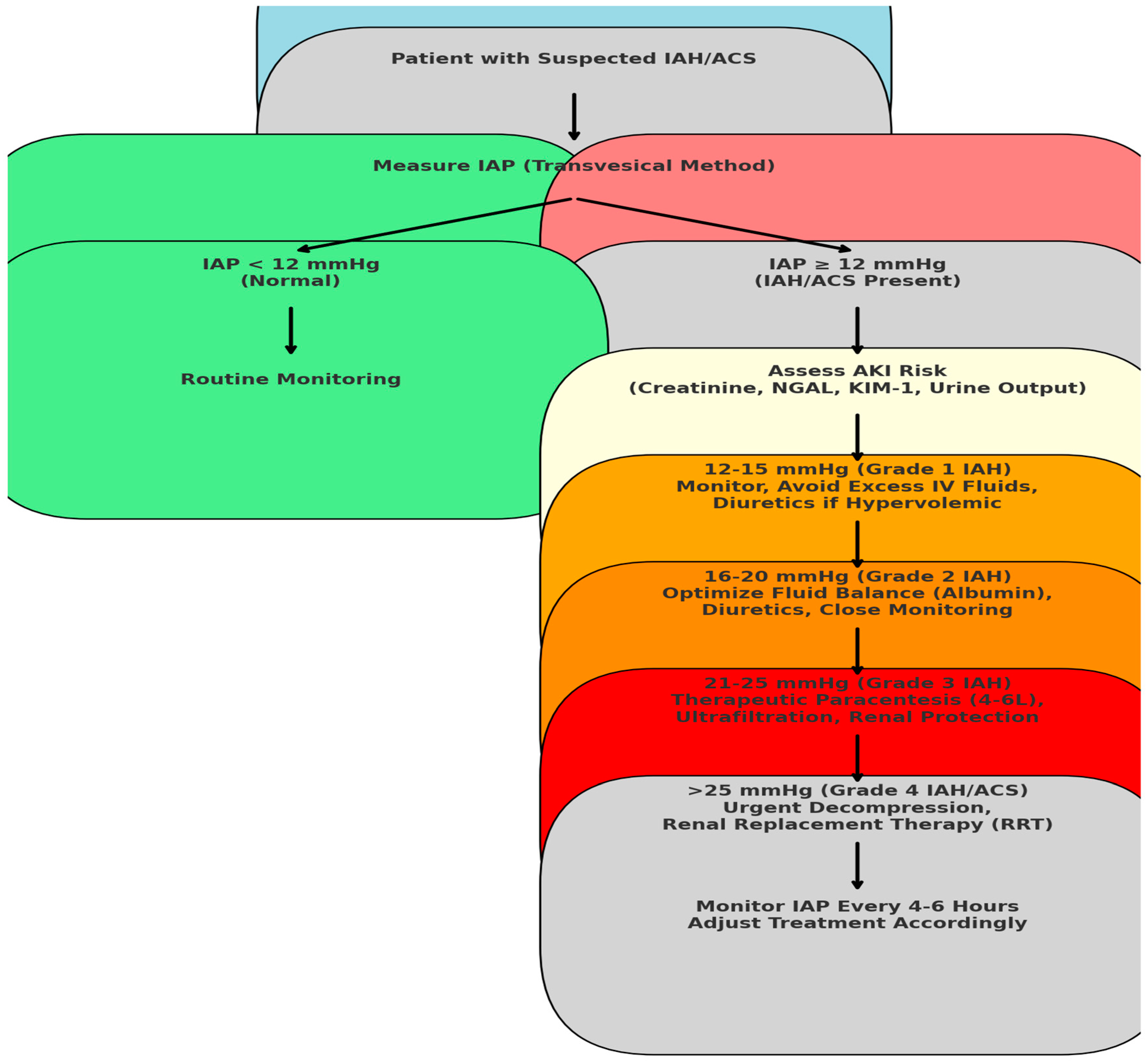 Medicina 61 00383 g002
