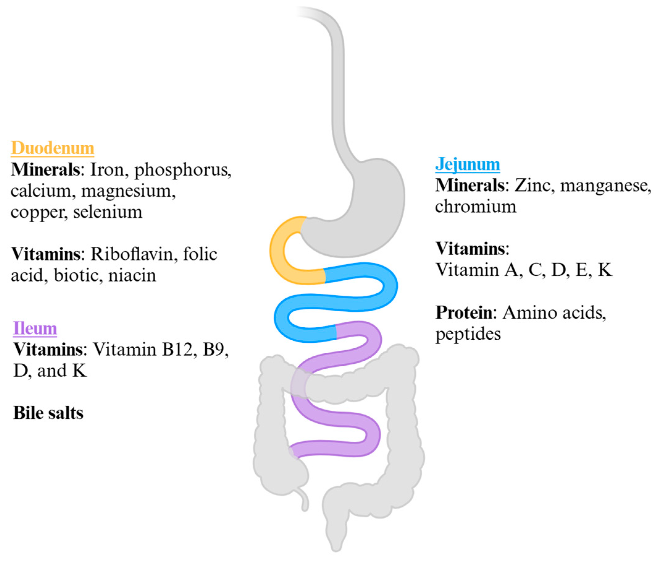 Medicina 61 00398 g001