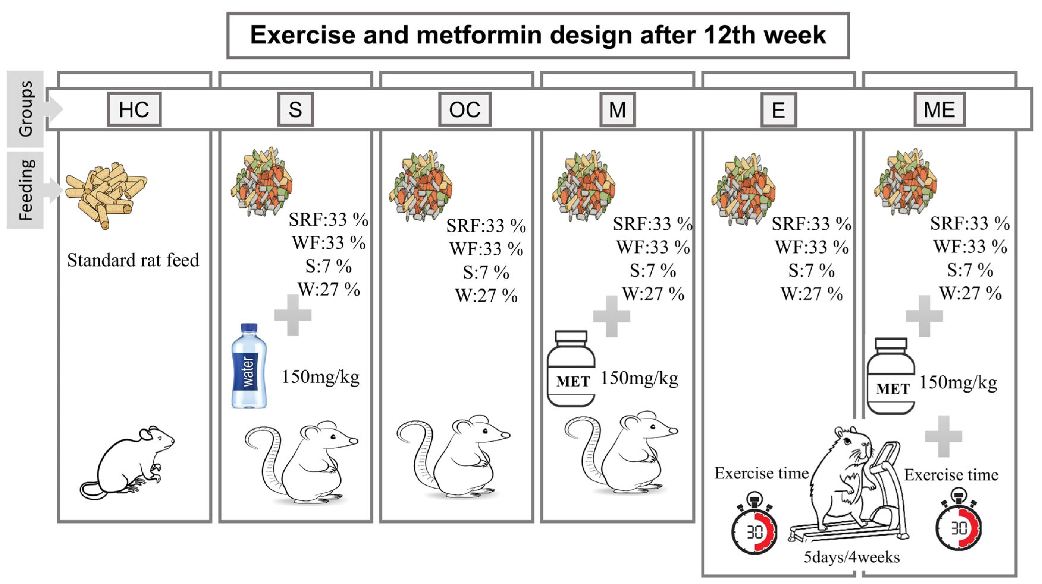 Medicina 61 00399 g001
