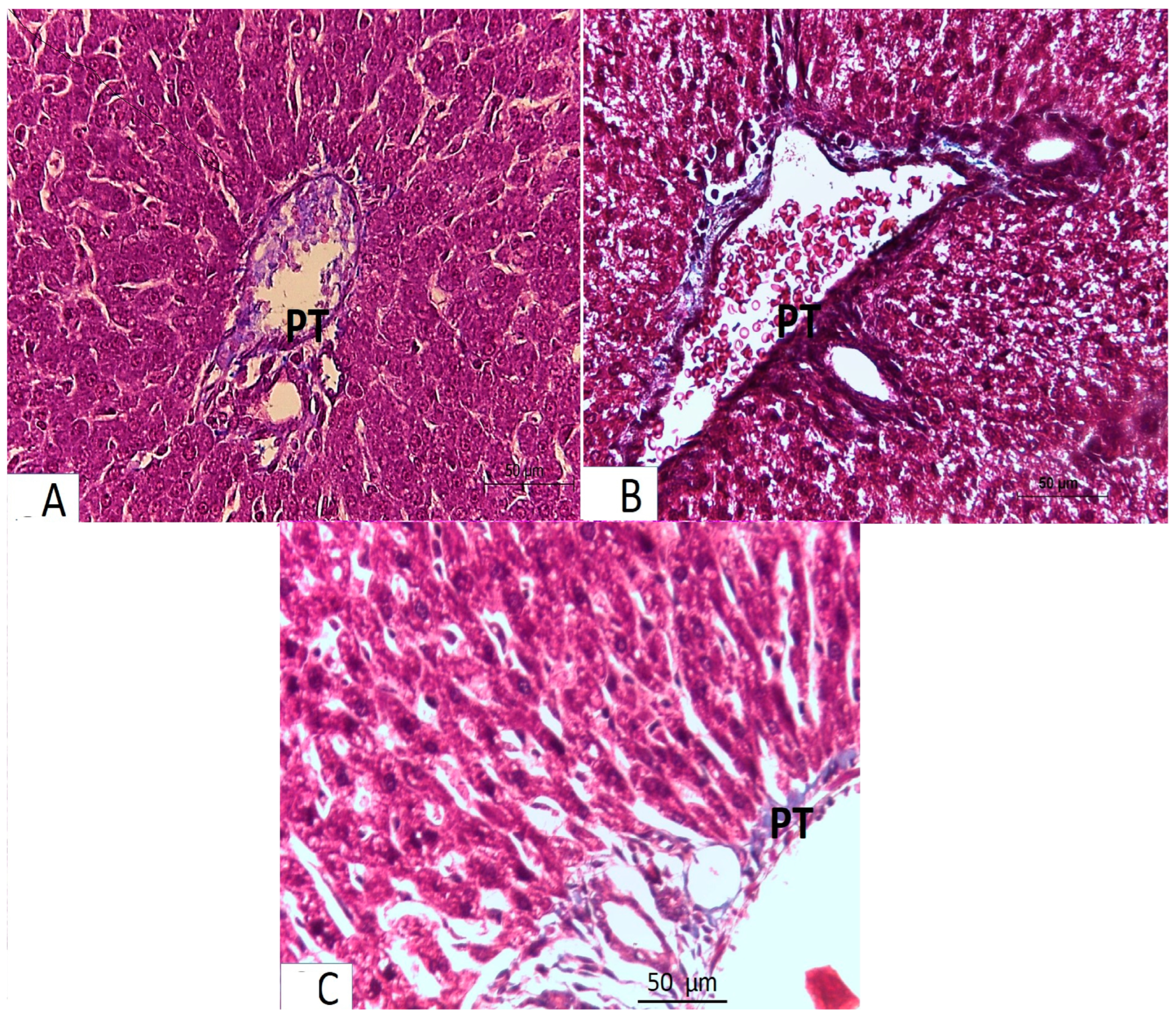 Medicina 61 00415 g003