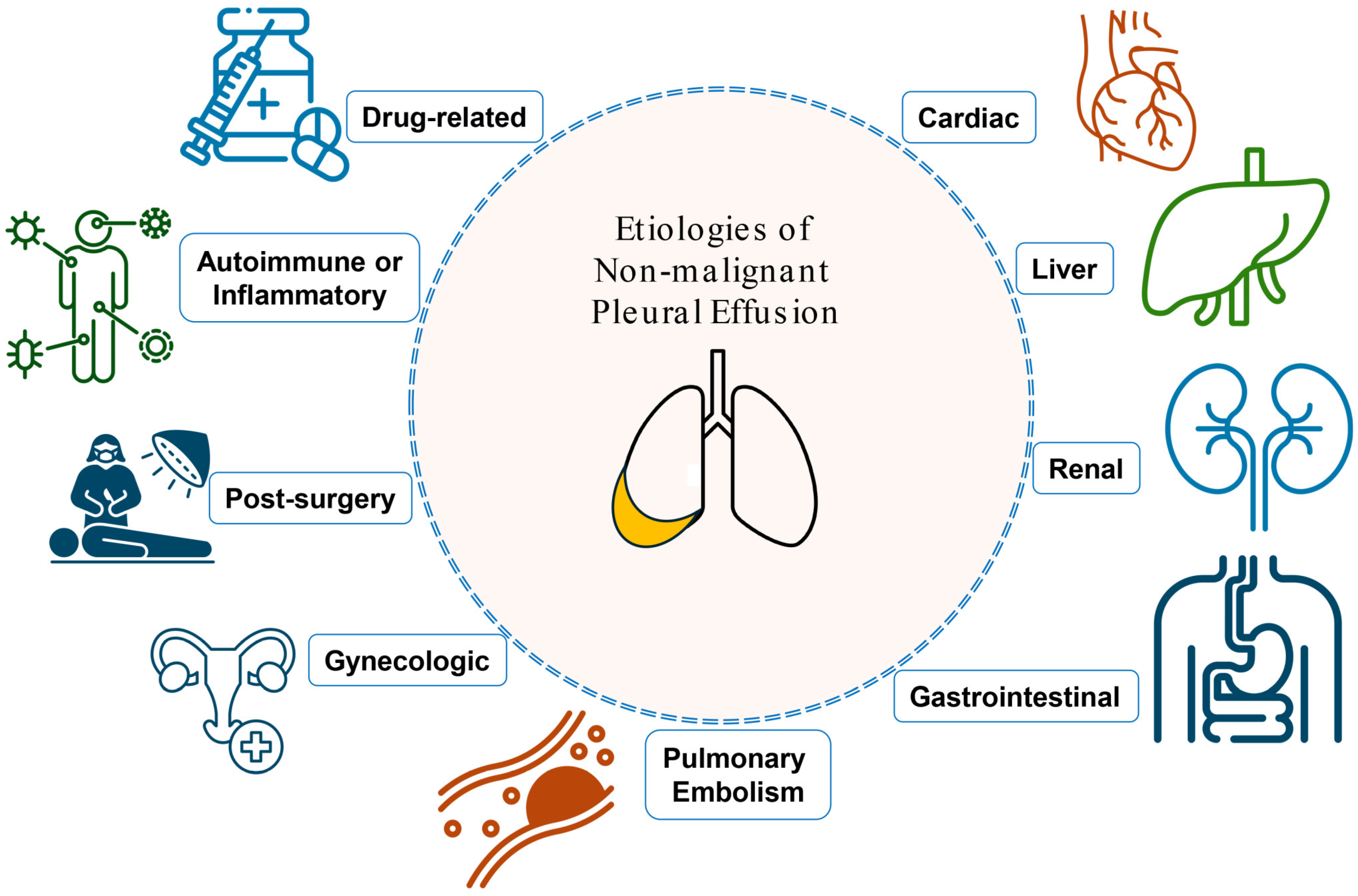 Medicina 61 00443 g001