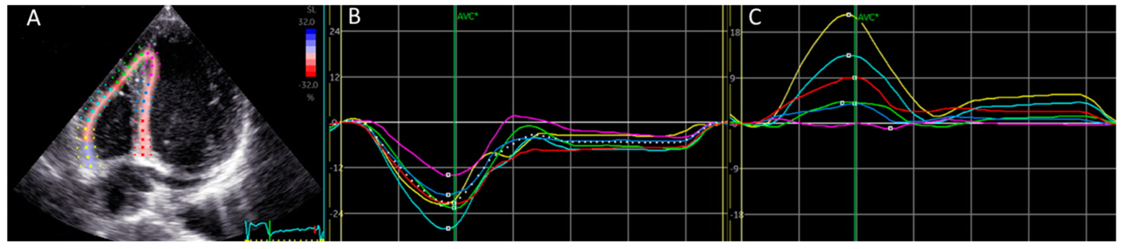 Medicina 61 00446 g001
